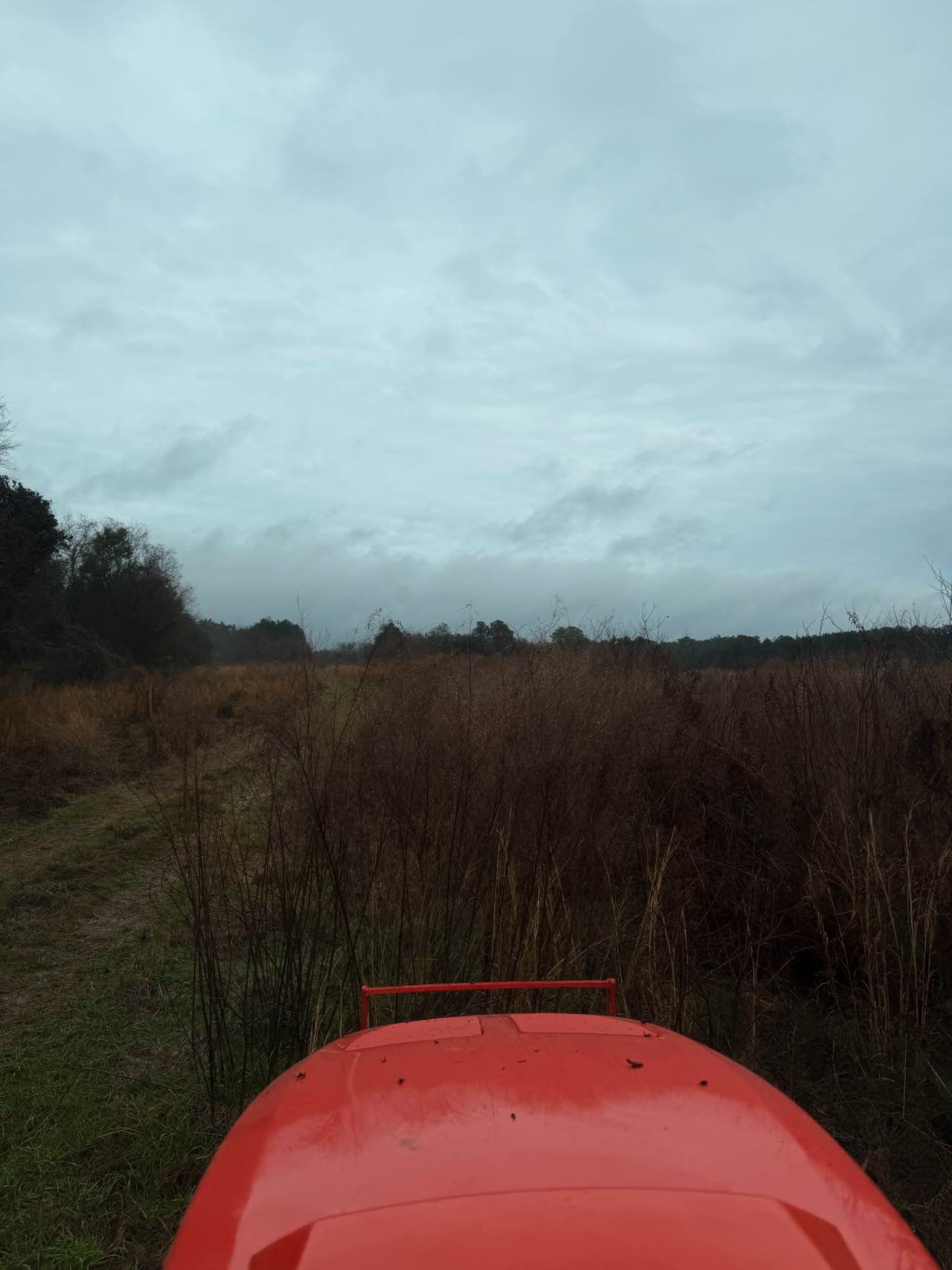 Commercial bush hogging by CX3