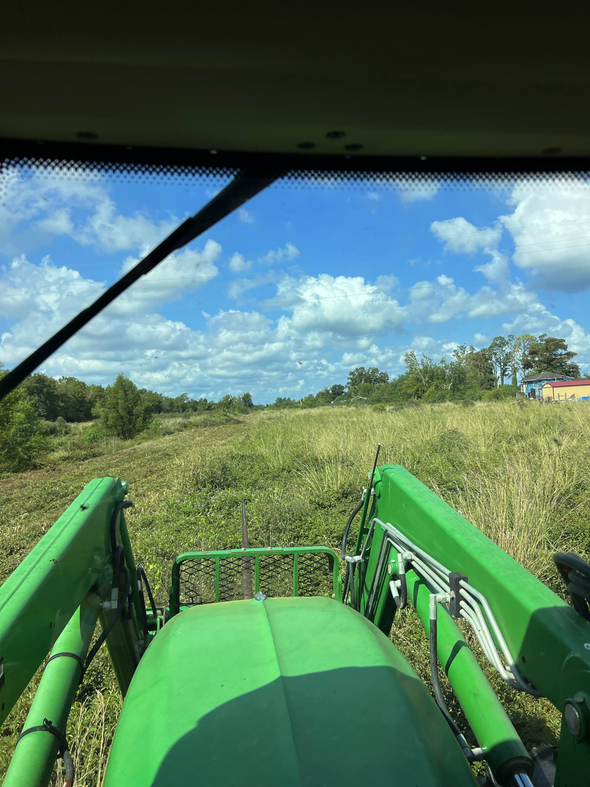 Bush hogging by CX3 — photo 10