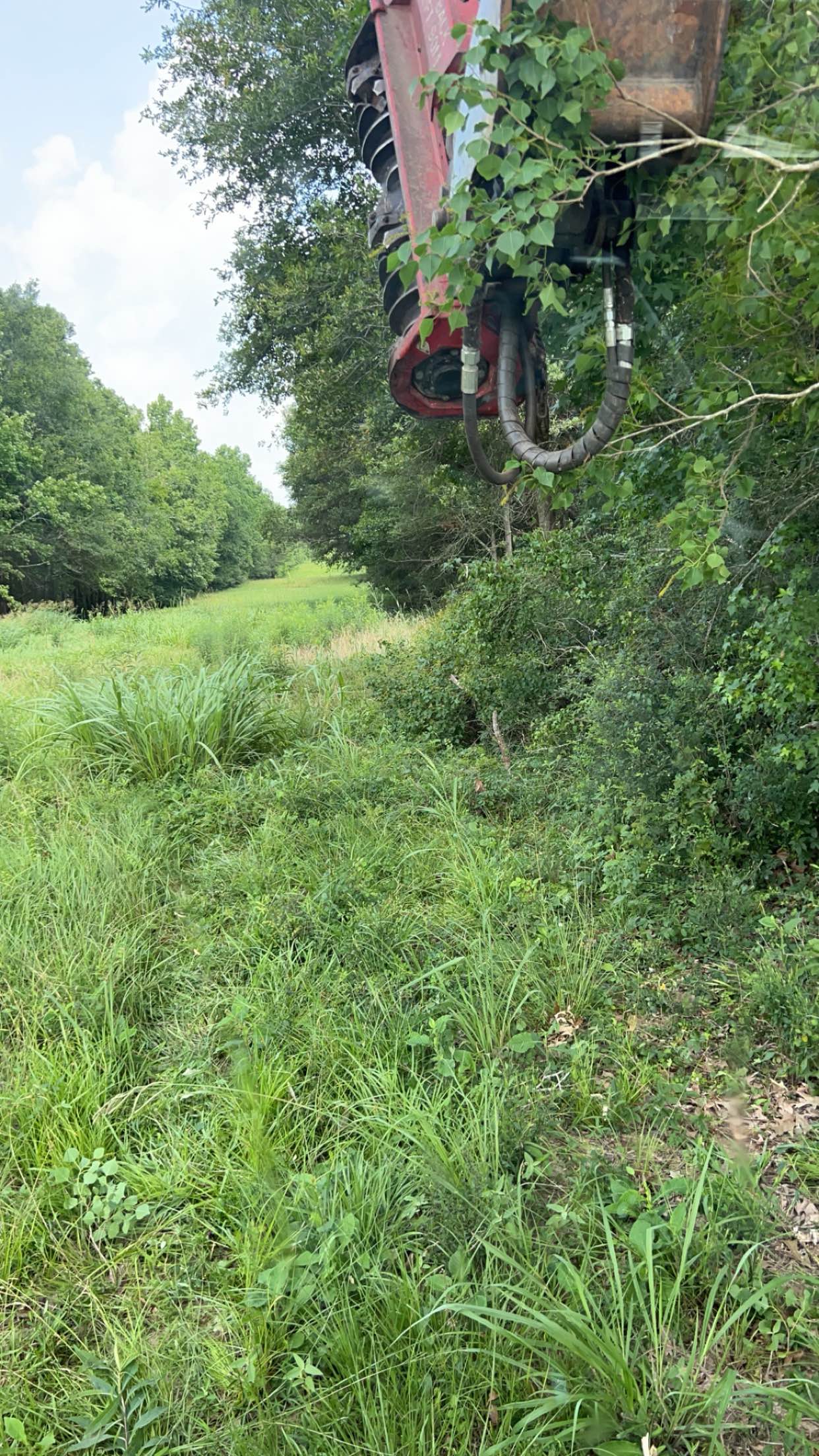 Bush hogging by CX3 — photo 13