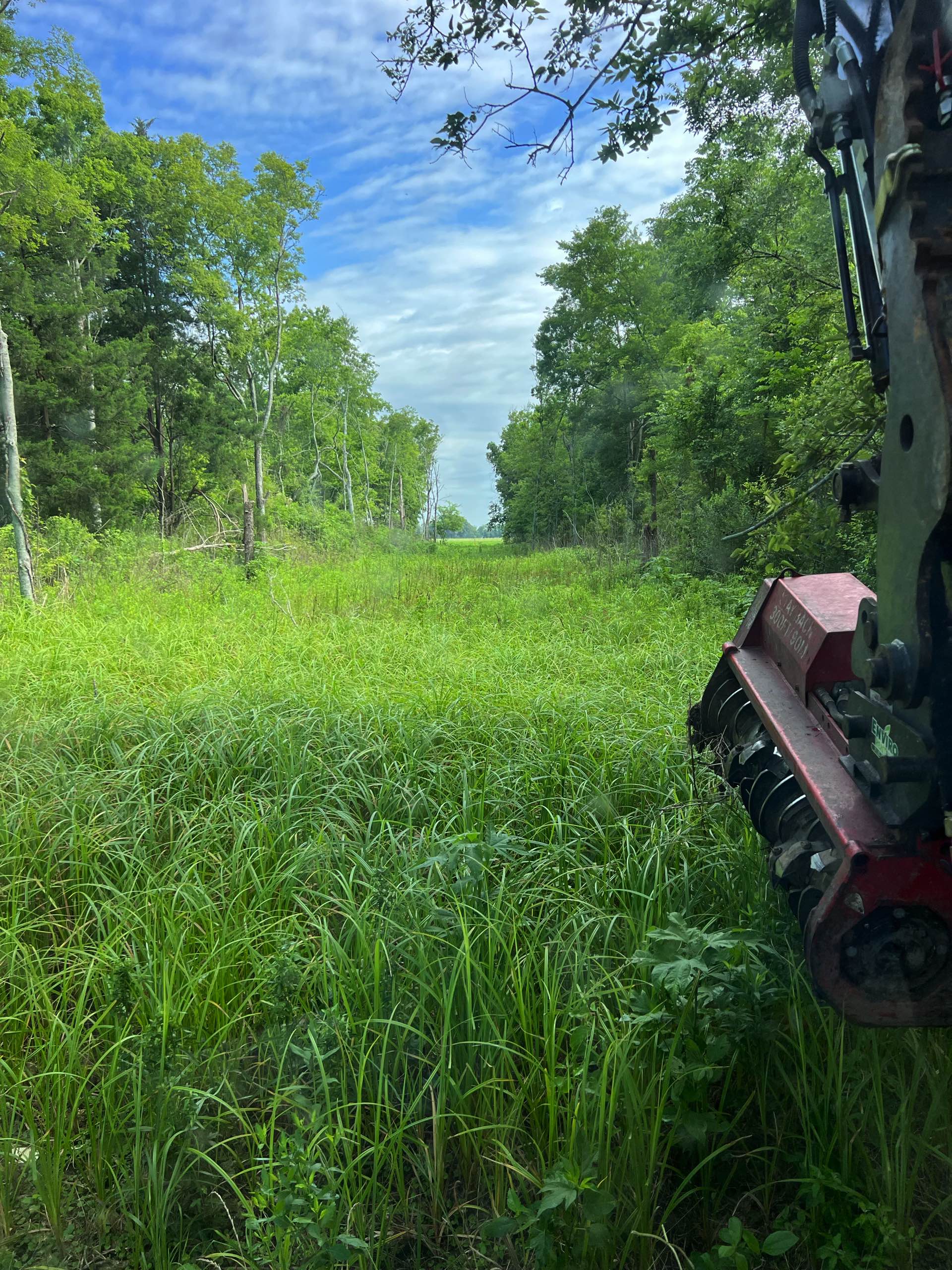 Bush hogging by CX3 — photo 15