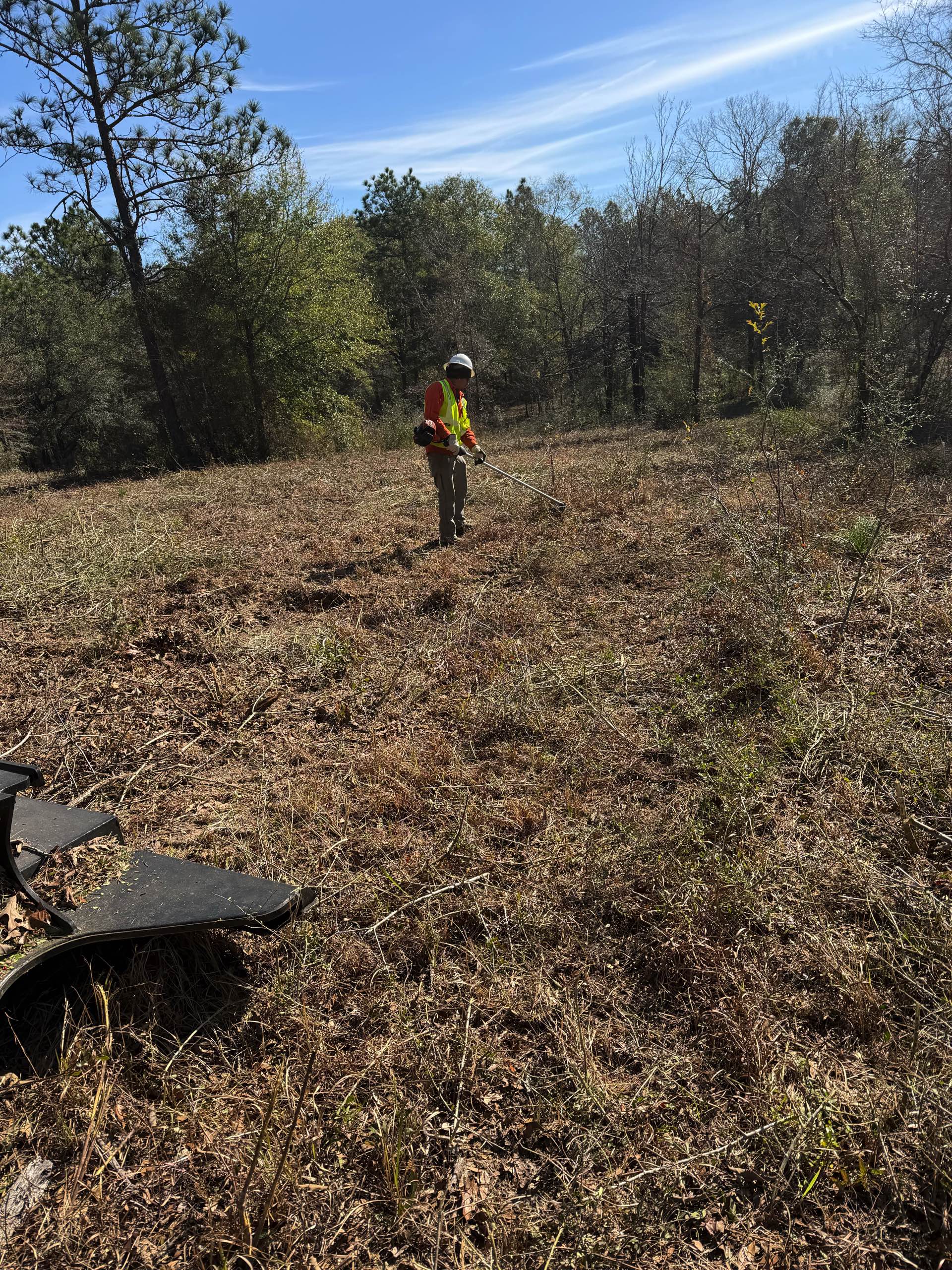 Bush hogging by CX3 — photo 18