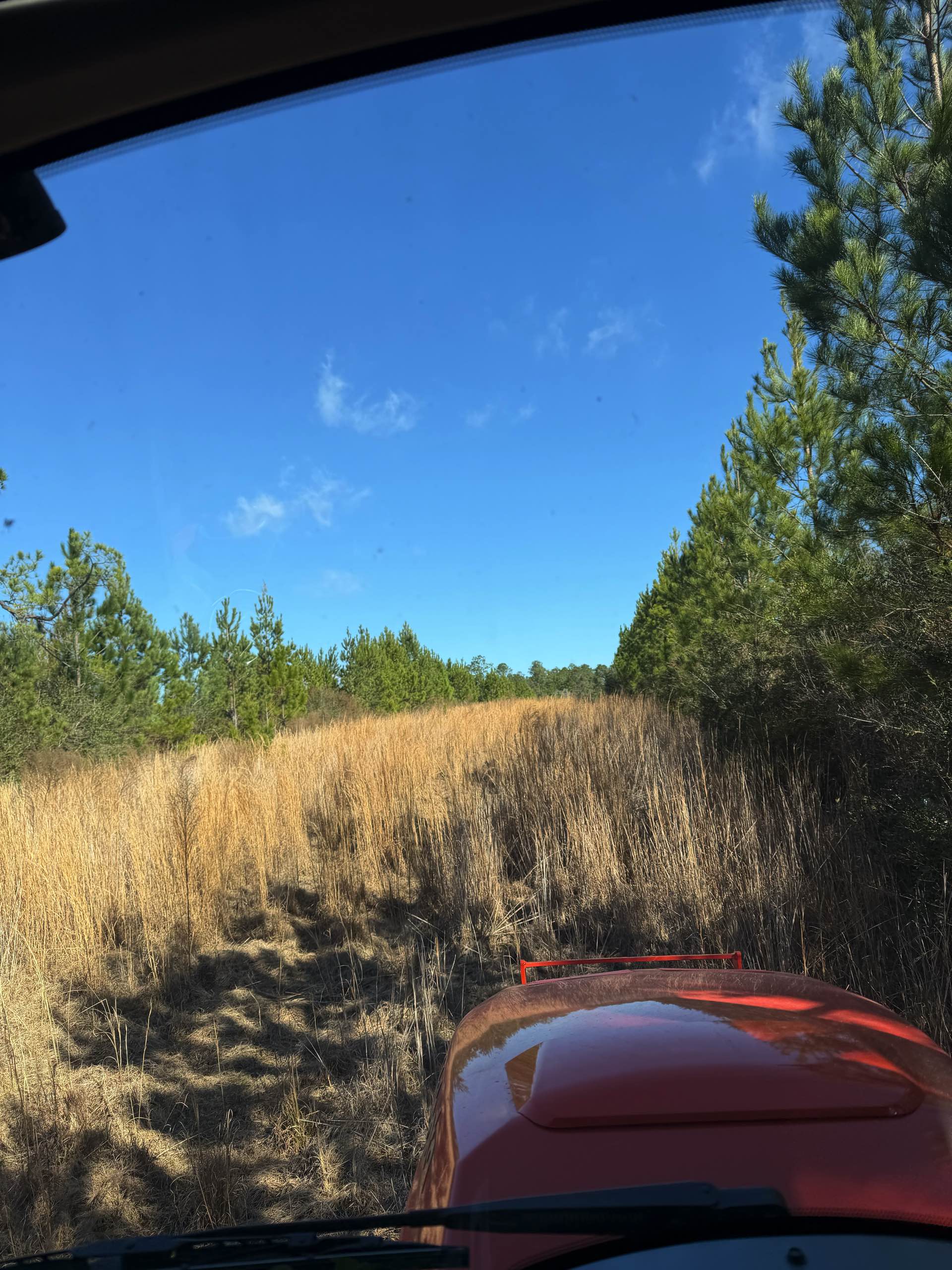 Bush hogging by CX3 — photo 20