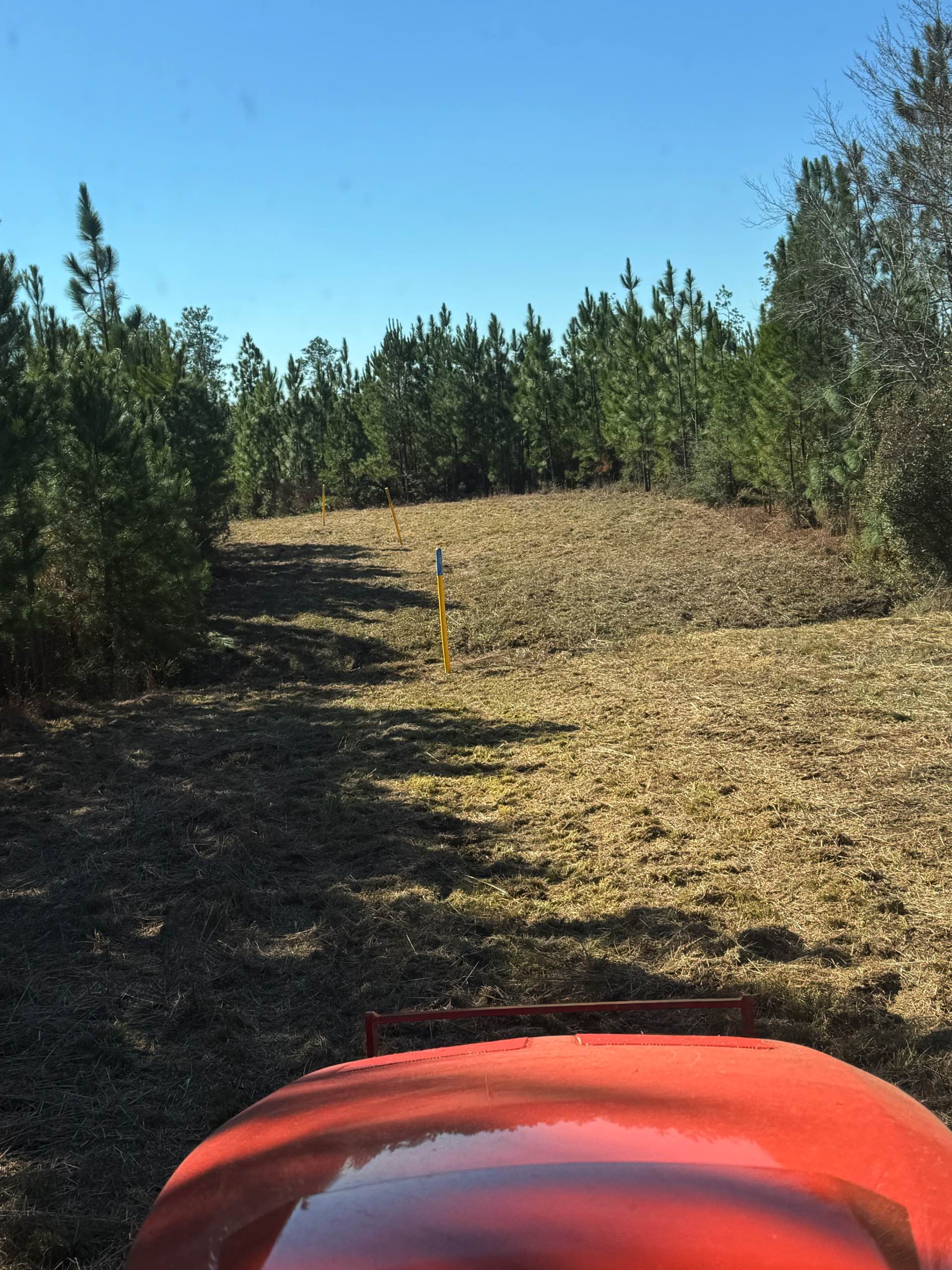 Bush hogging by CX3 — photo 21
