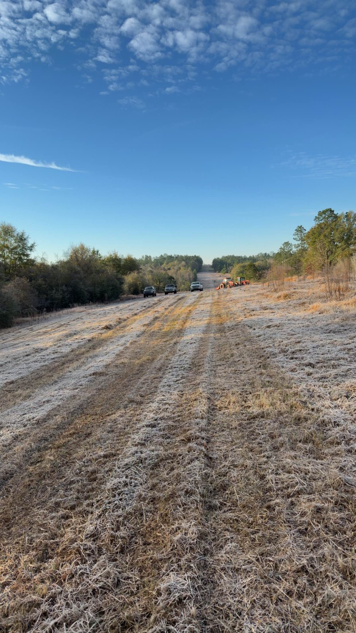 Bush hogging by CX3 — photo 22