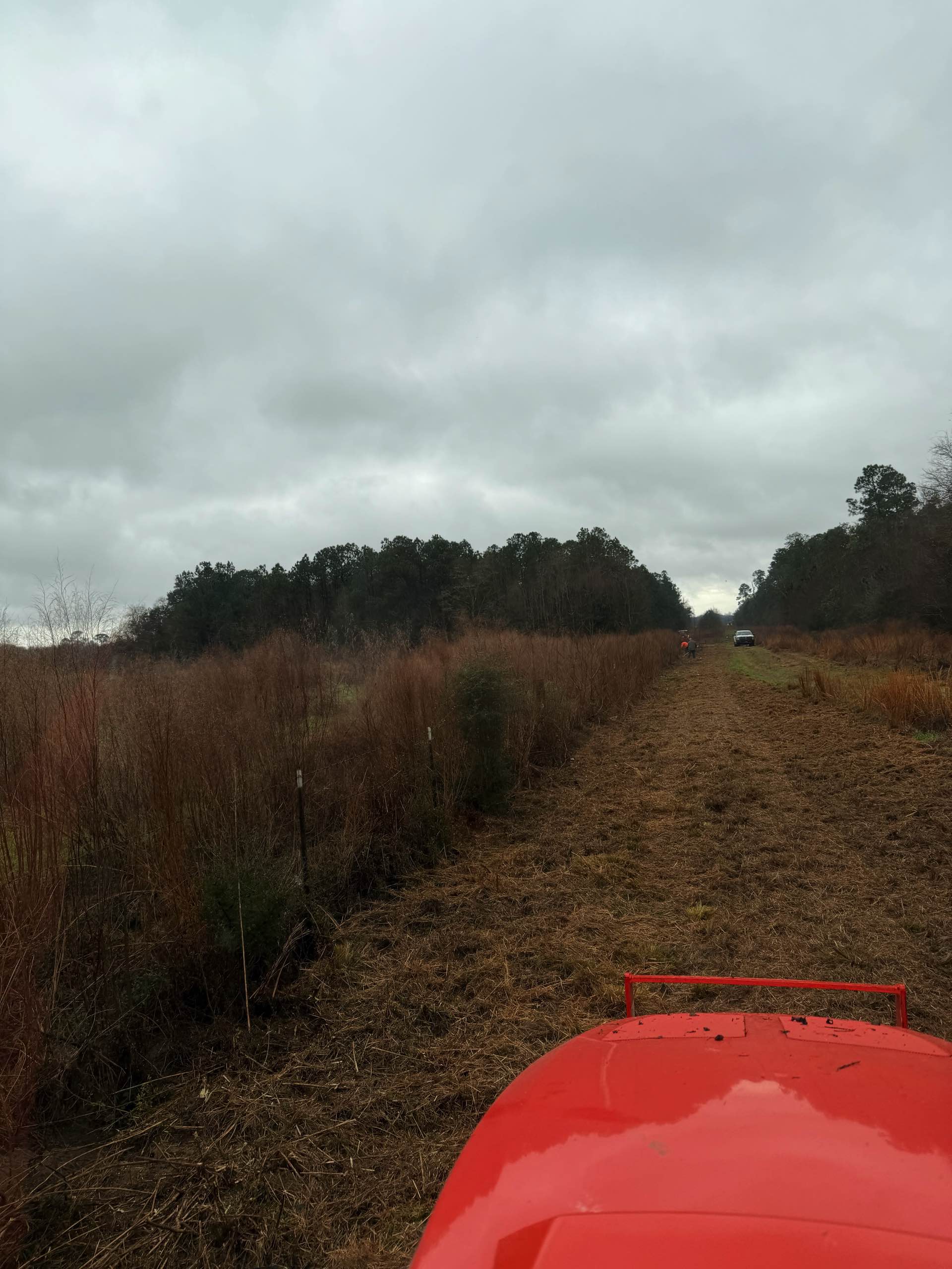 Bush hogging by CX3 — photo 24