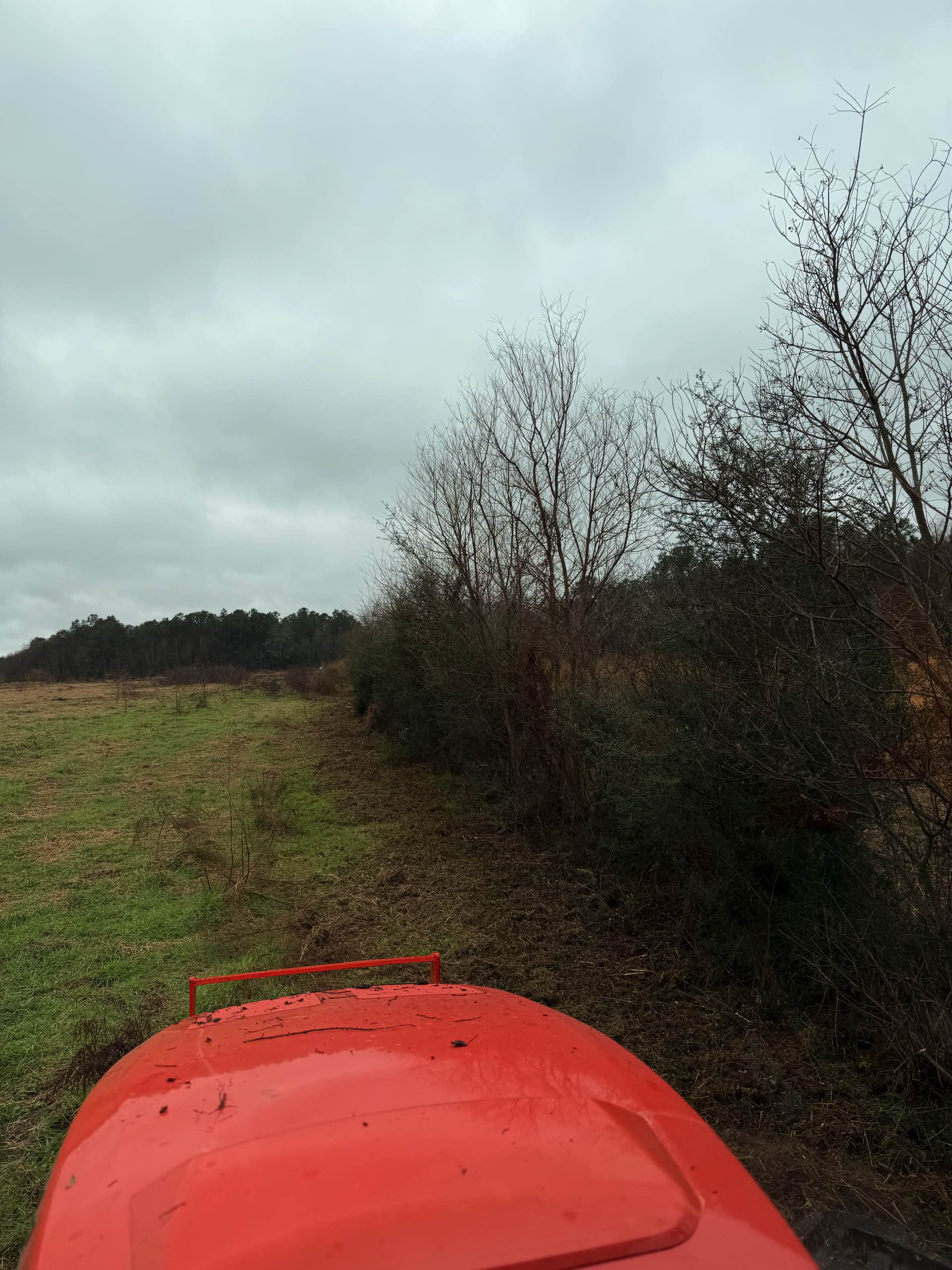 Bush hogging by CX3 — photo 25