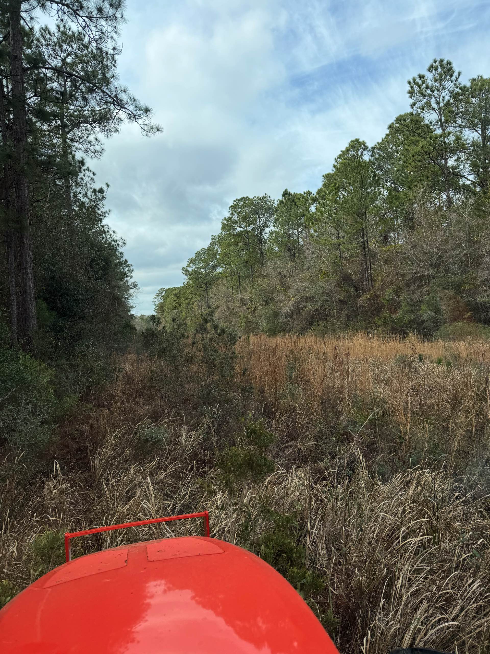 Bush hogging by CX3 — photo 26