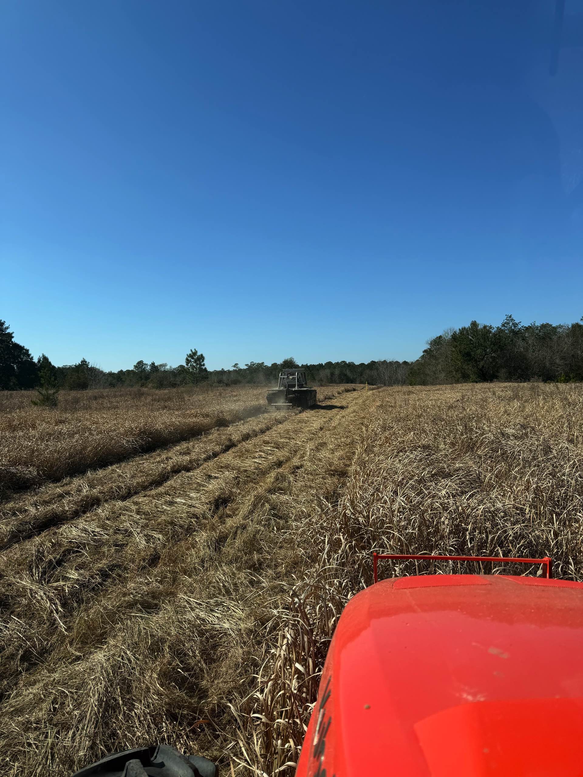 Bush hogging by CX3 — photo 27
