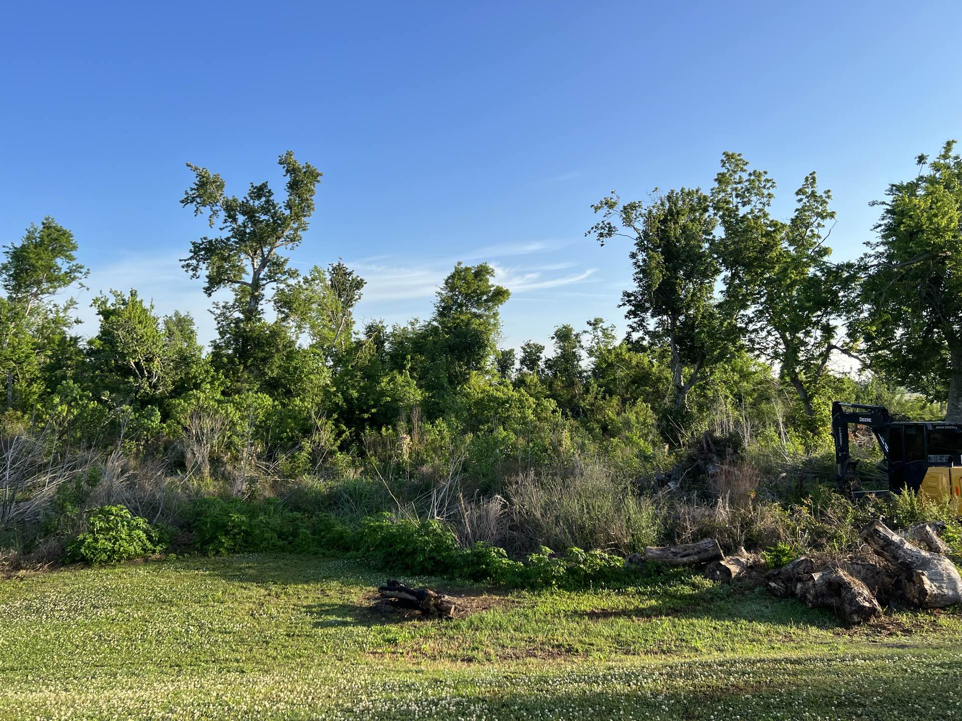 Bush hogging by CX3 — photo 3