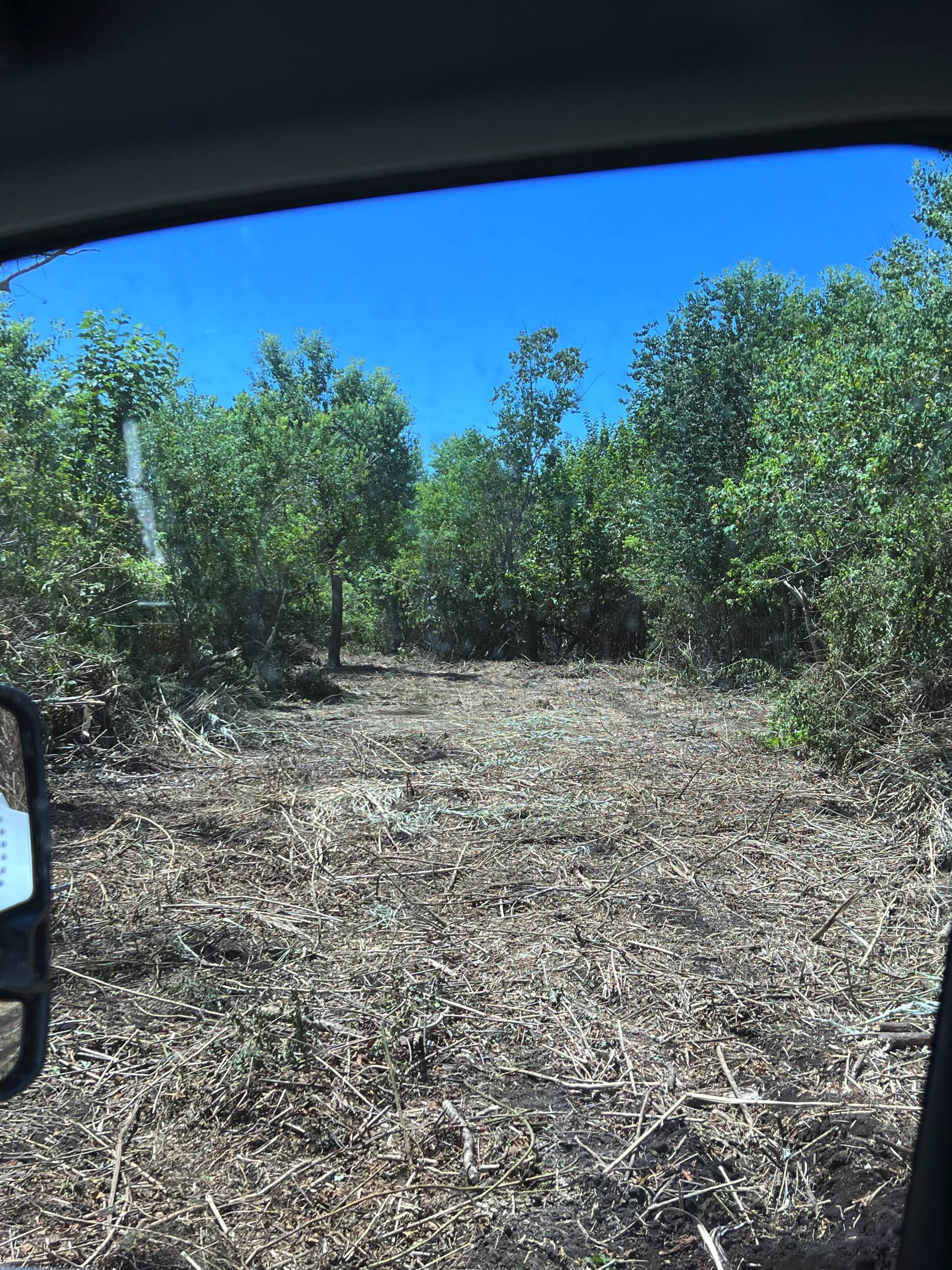 Bush hogging by CX3 — photo 31