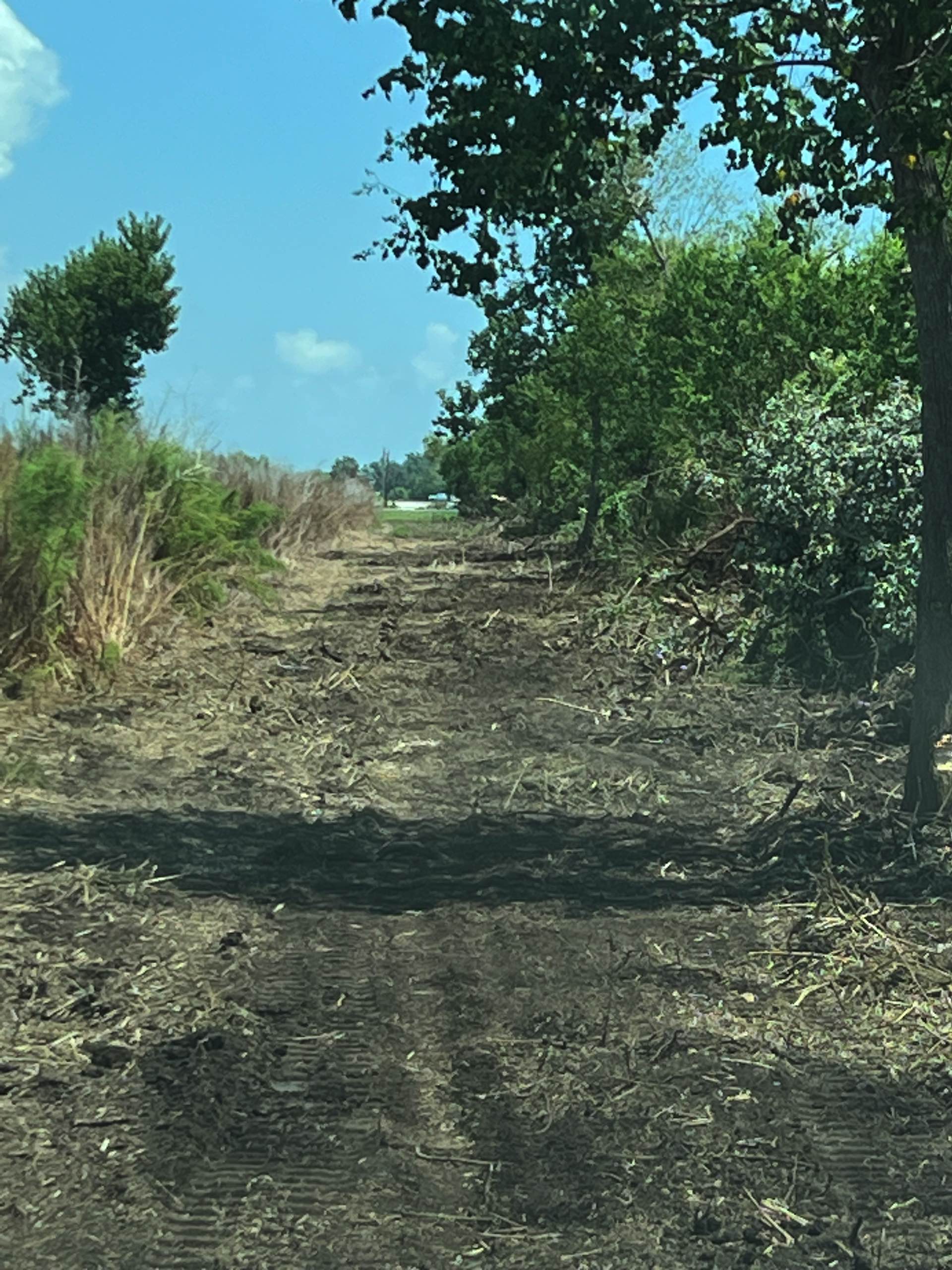 Bush hogging by CX3 — photo 32