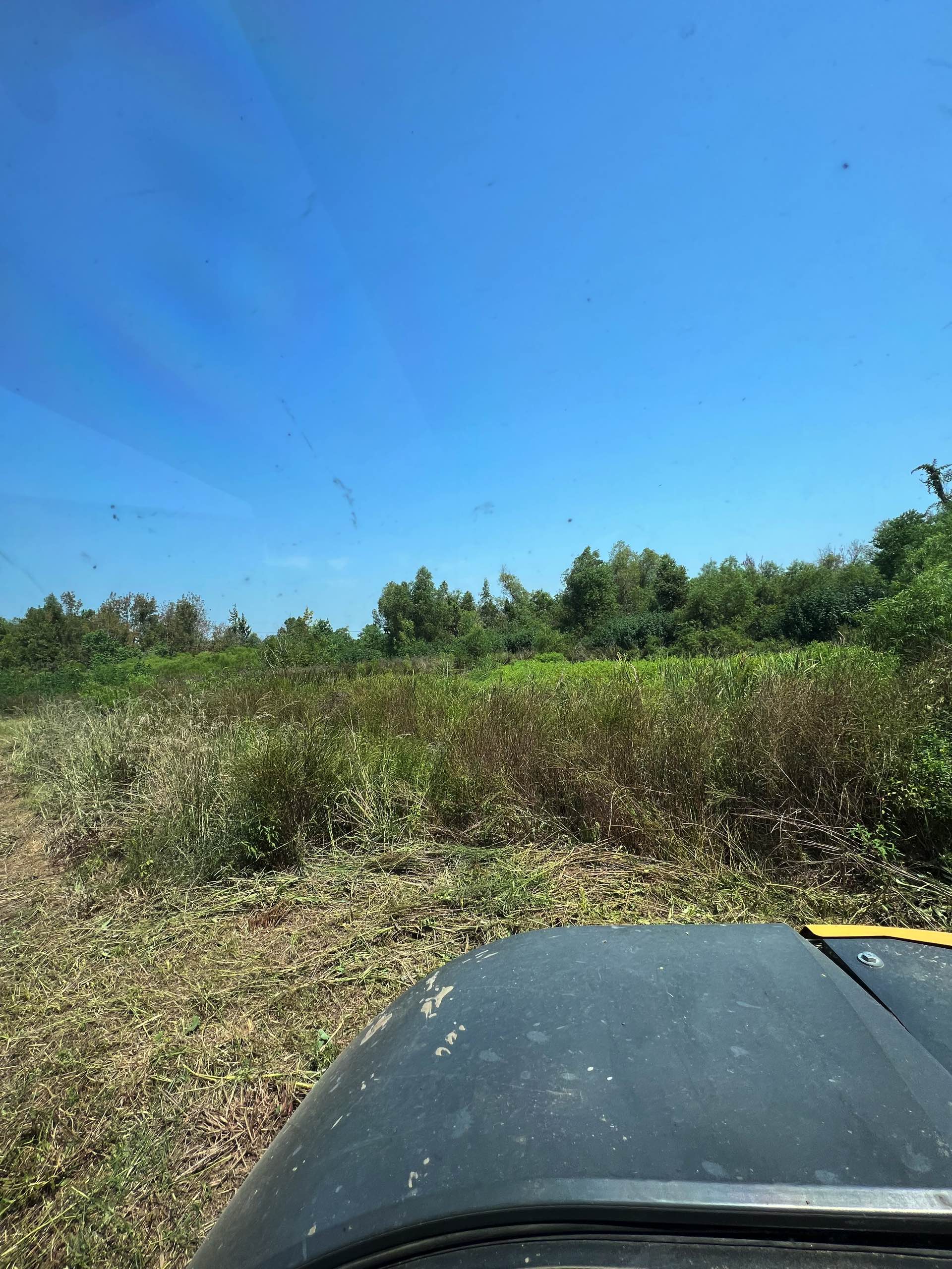 Bush hogging by CX3 — photo 35