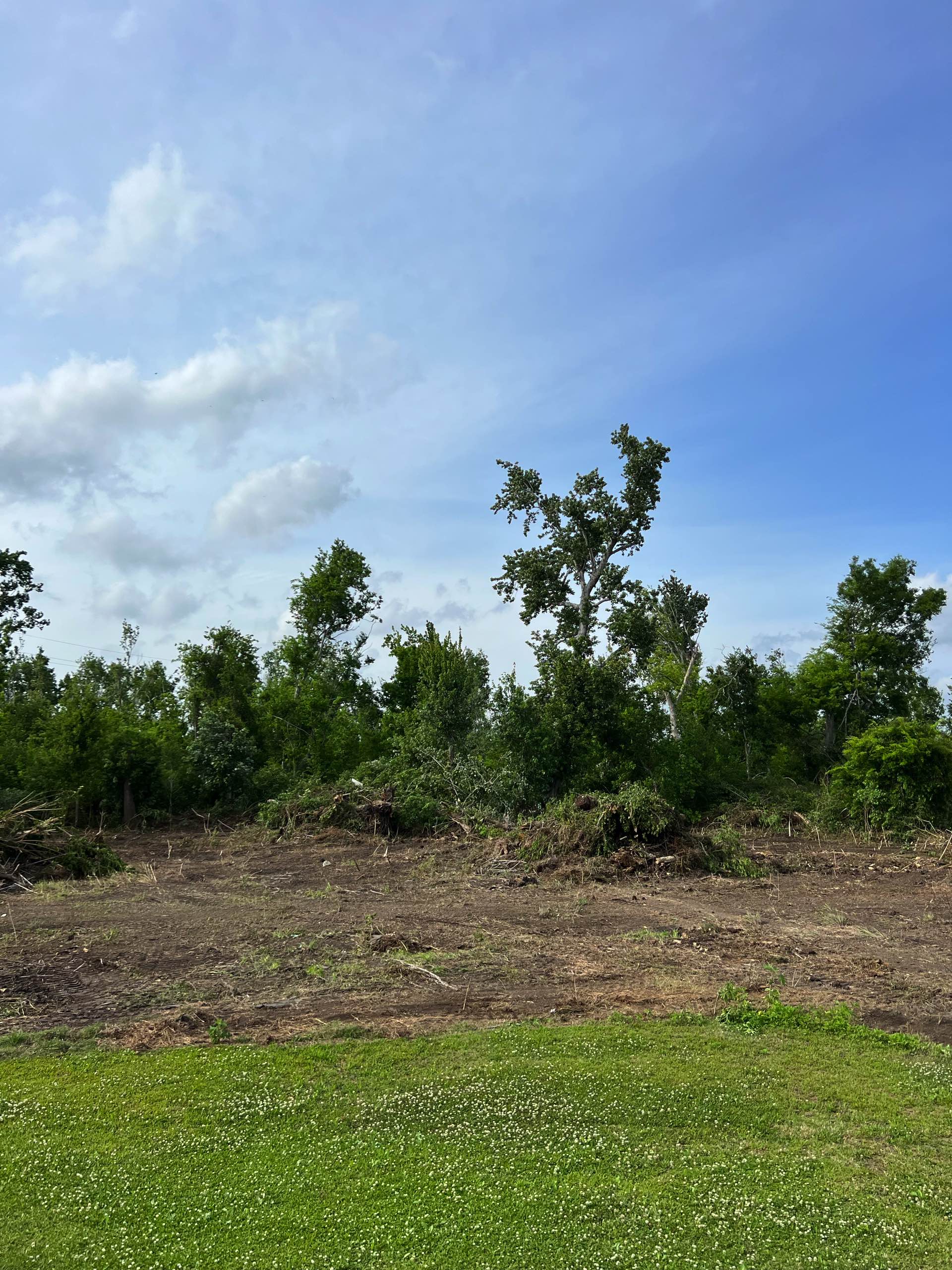 Bush hogging by CX3 — photo 4