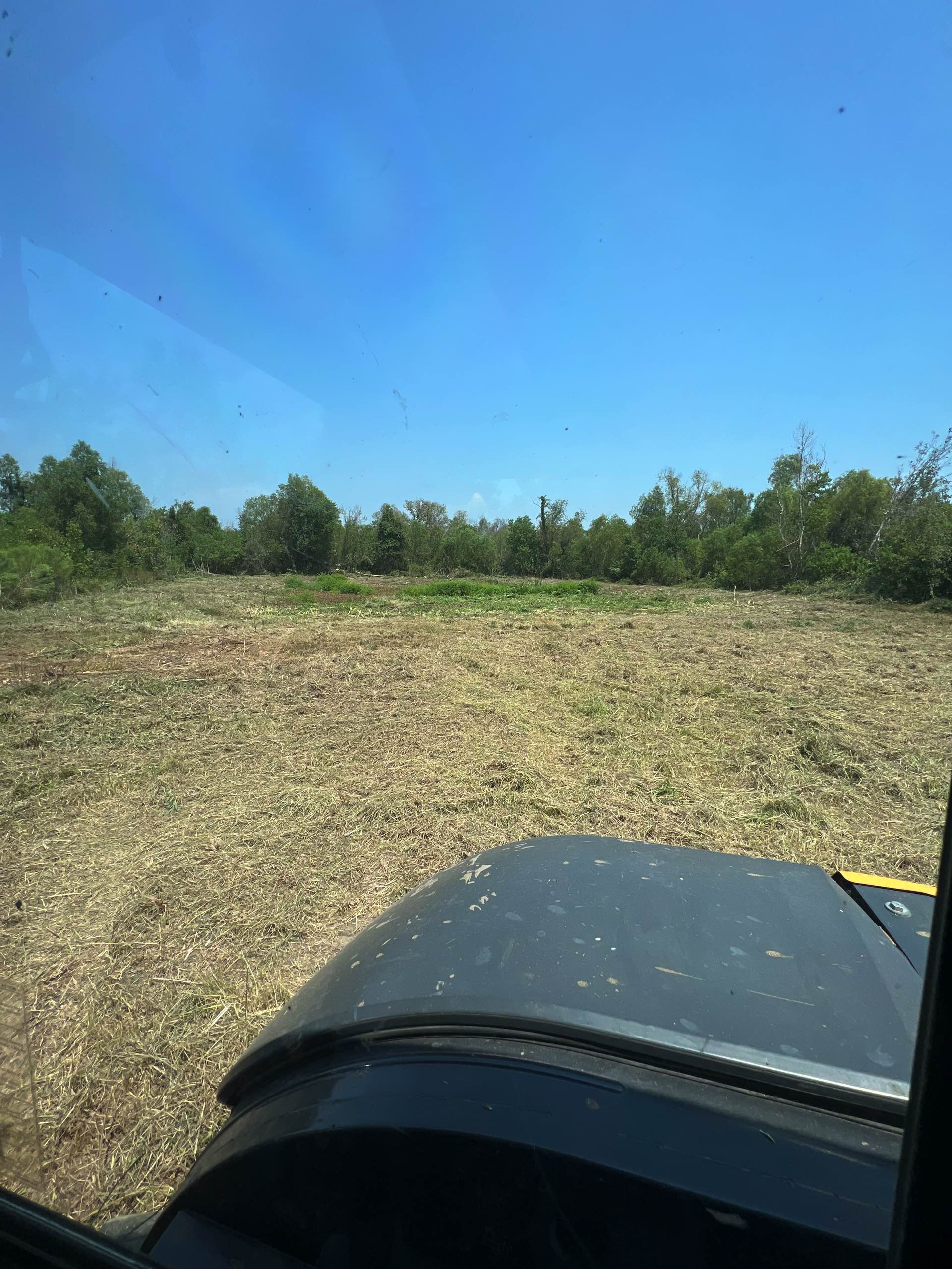 Bush hogging by CX3 — photo 6