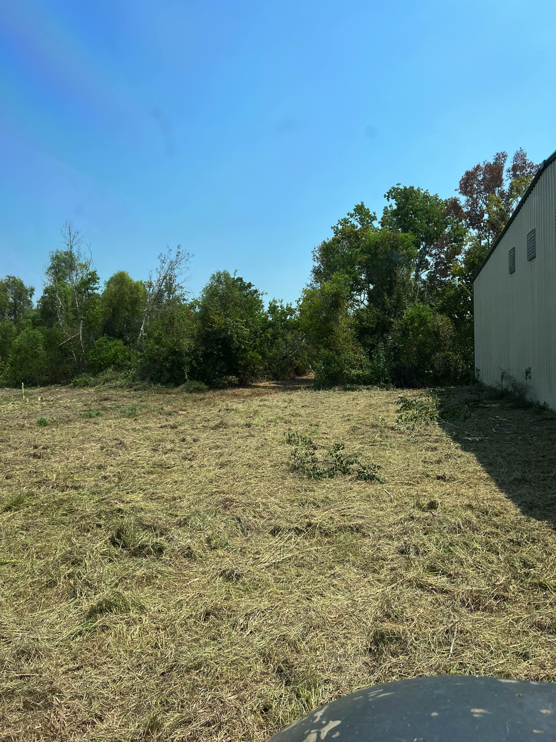 Bush hogging by CX3 — photo 7