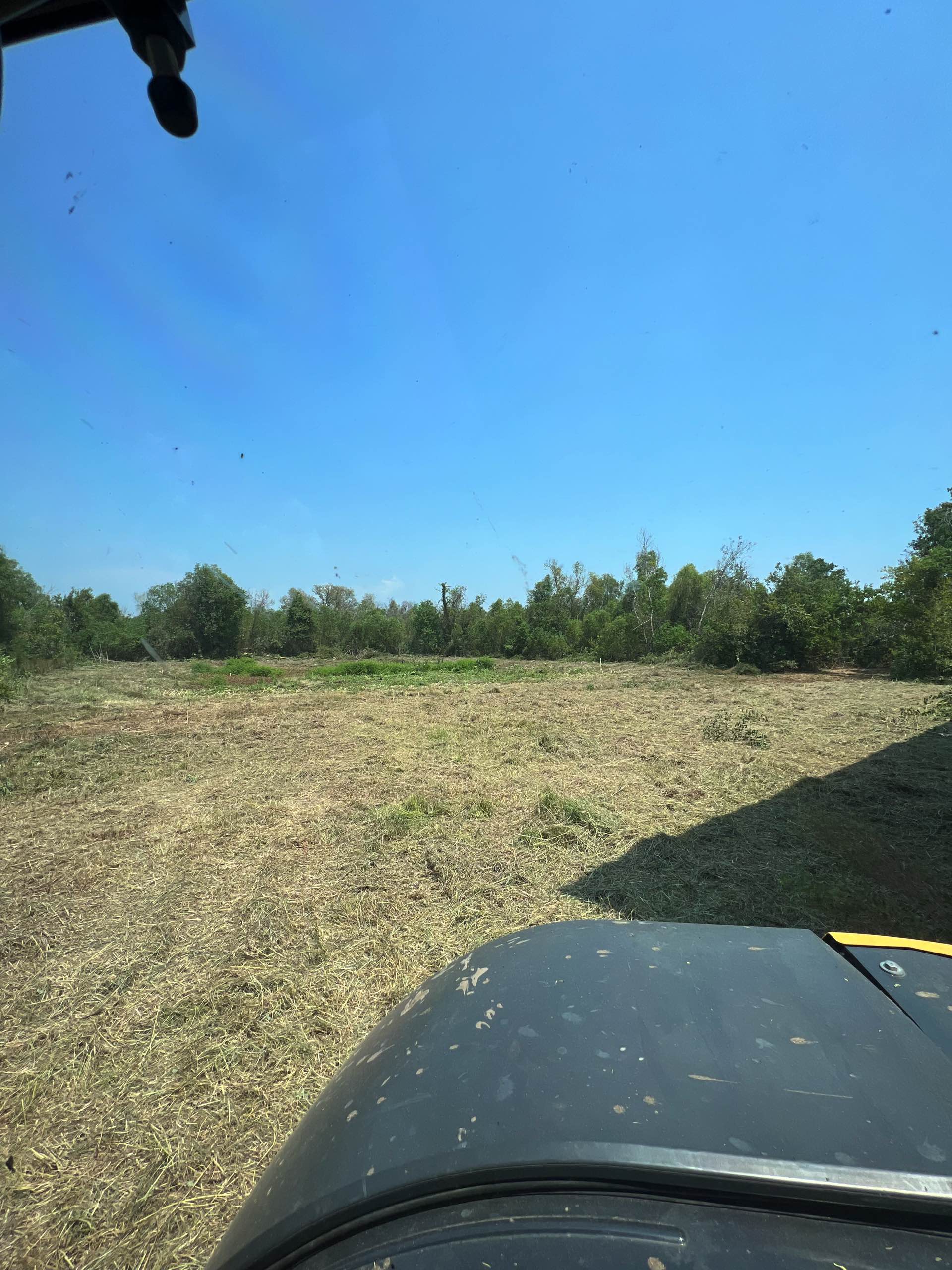 Bush hogging by CX3 — photo 8