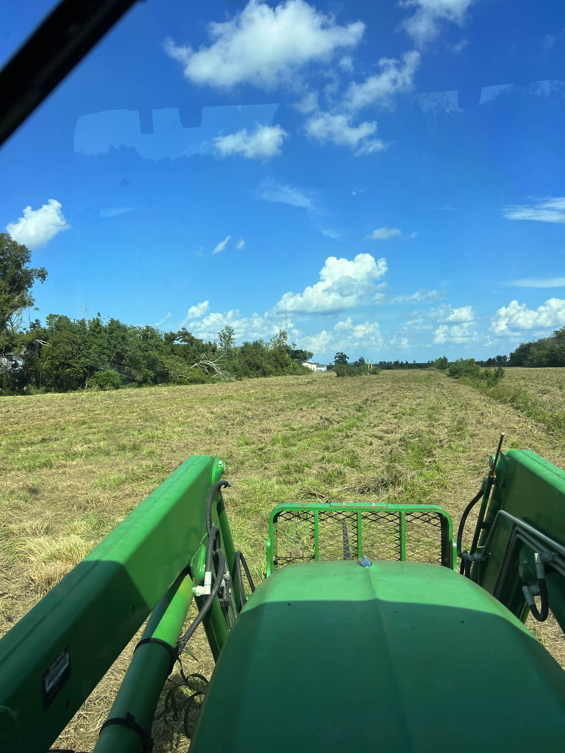 Commercial grass maintenance by CX3 — photo 4