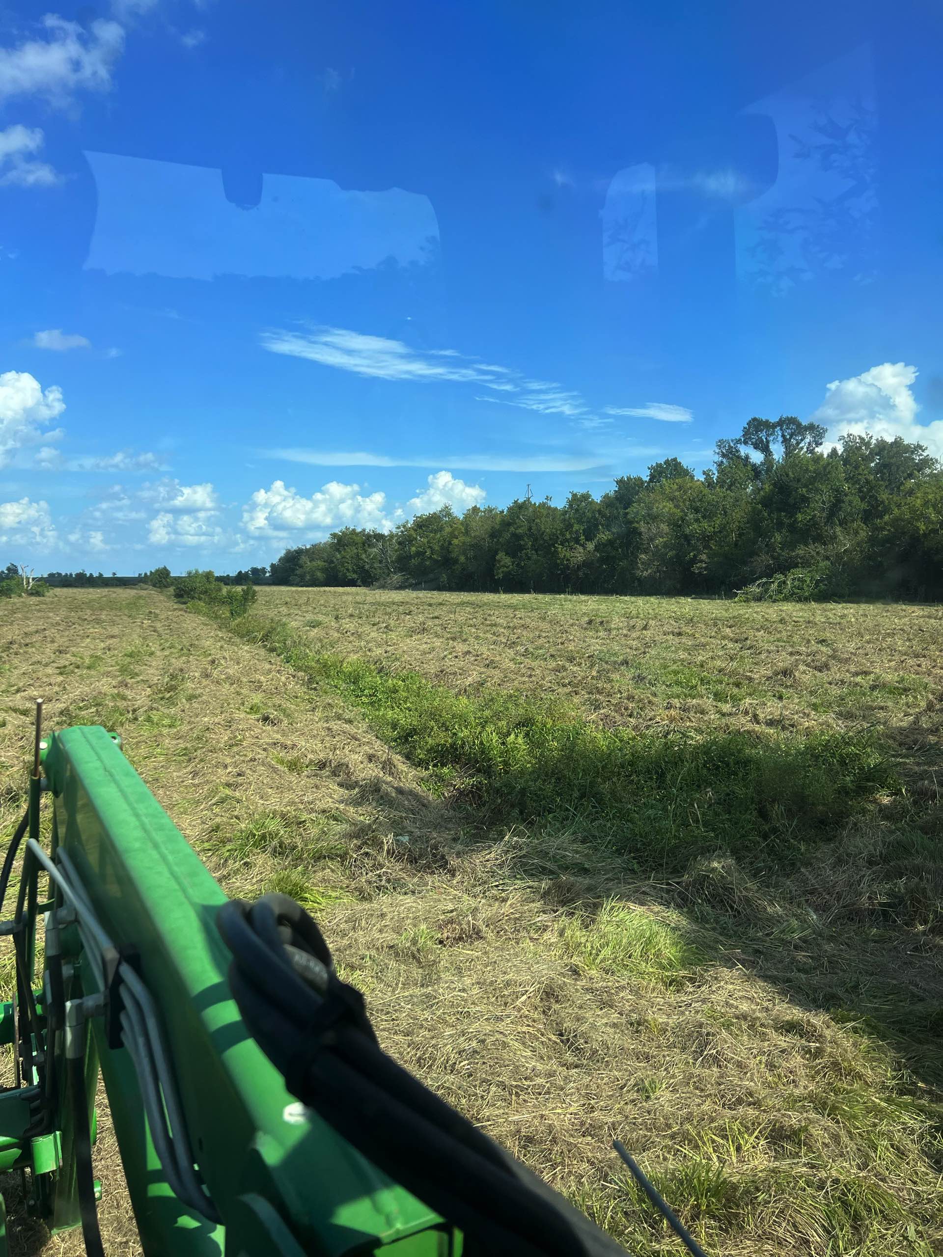 Commercial grass maintenance by CX3 — photo 5