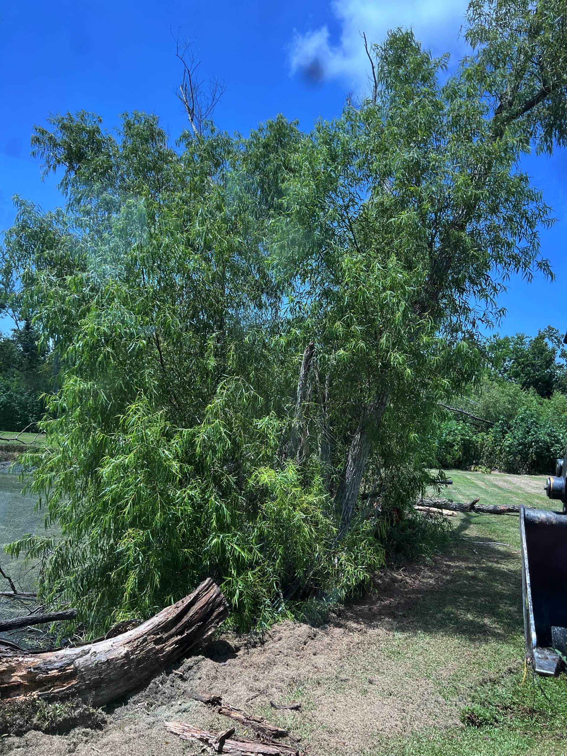 Pond management by CX3 — photo 11