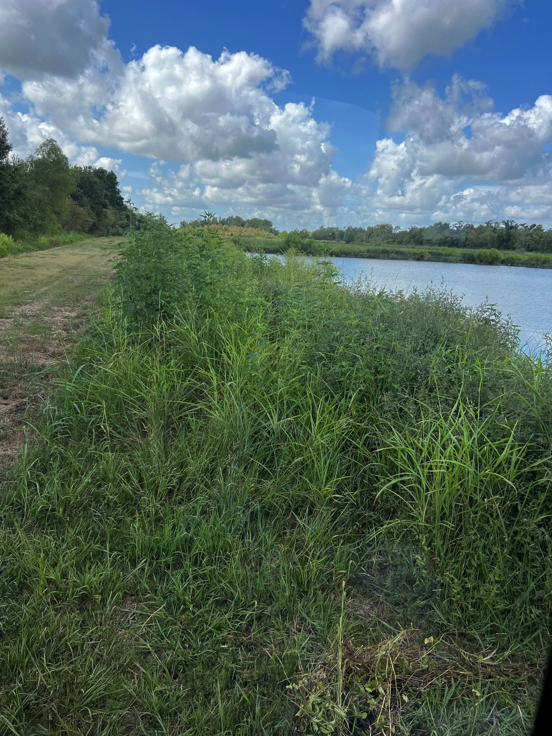 Pond management by CX3 — photo 12