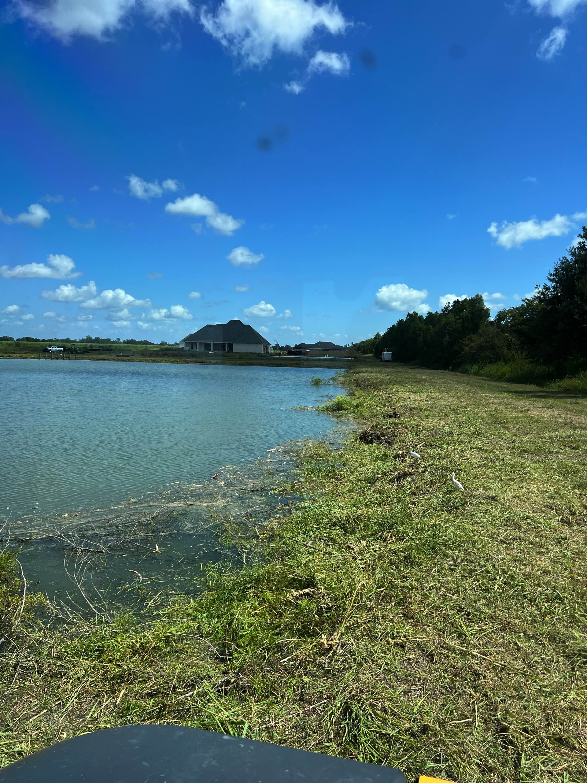 Pond management by CX3 — photo 13