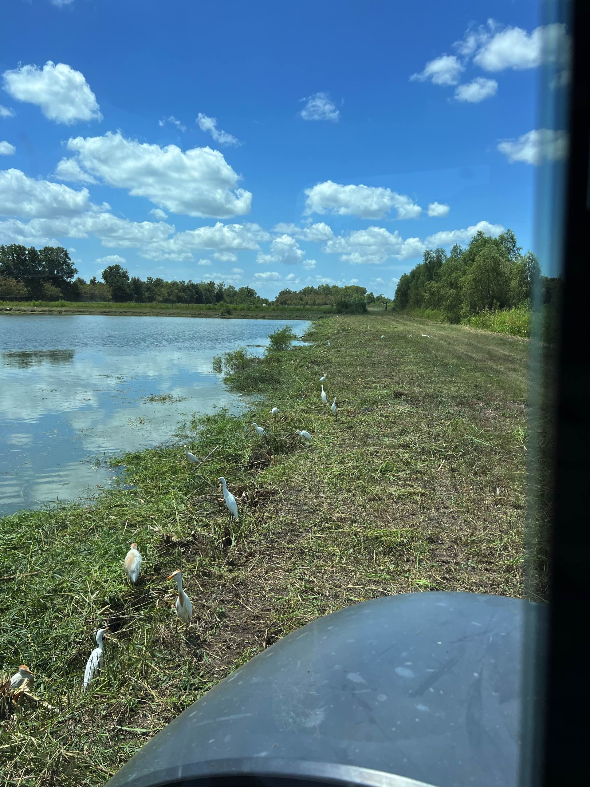 Pond management by CX3 — photo 14