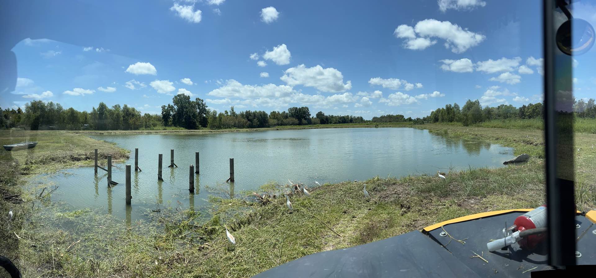 Pond management by CX3 — photo 15