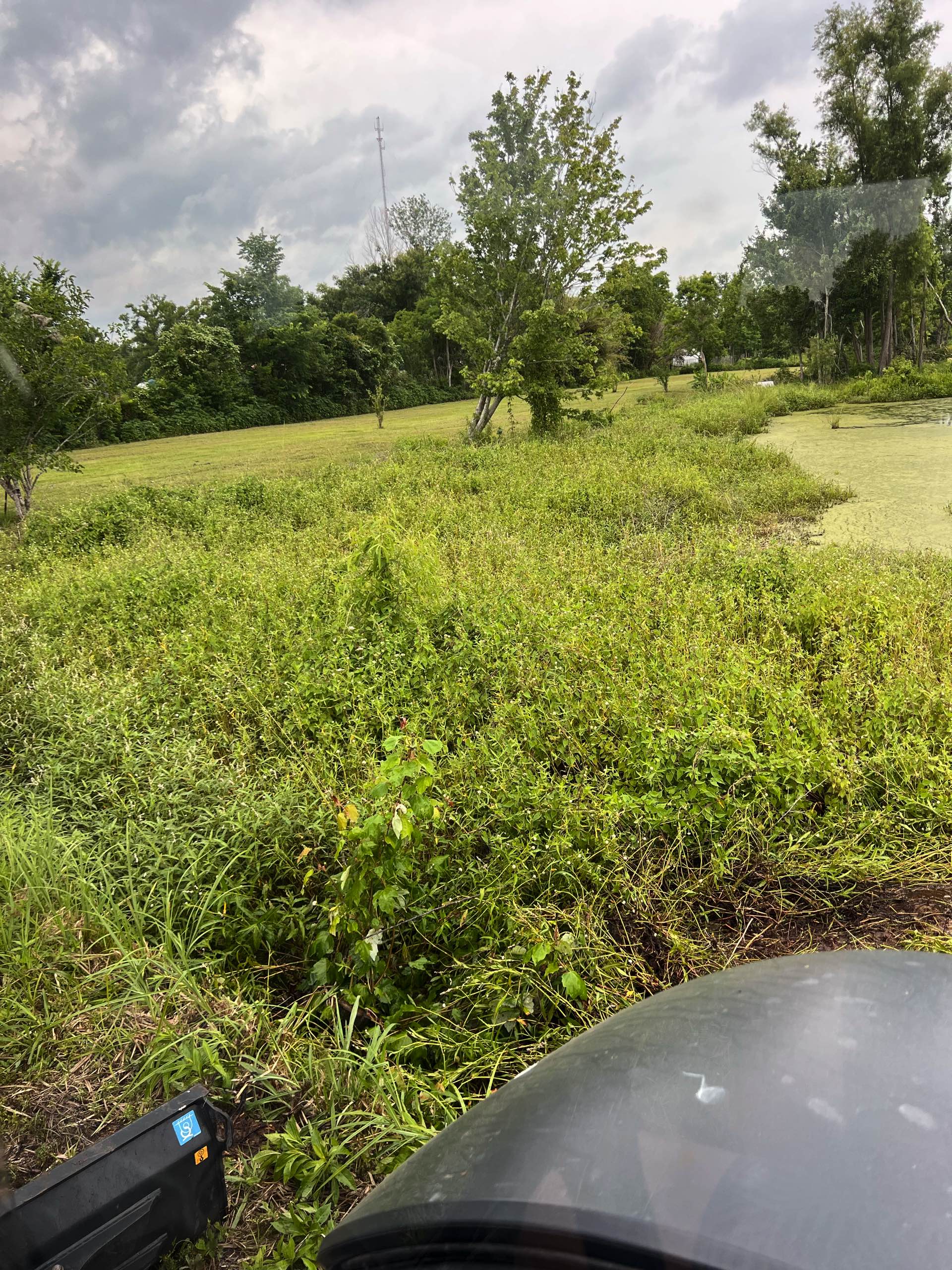 Pond management by CX3 — photo 2