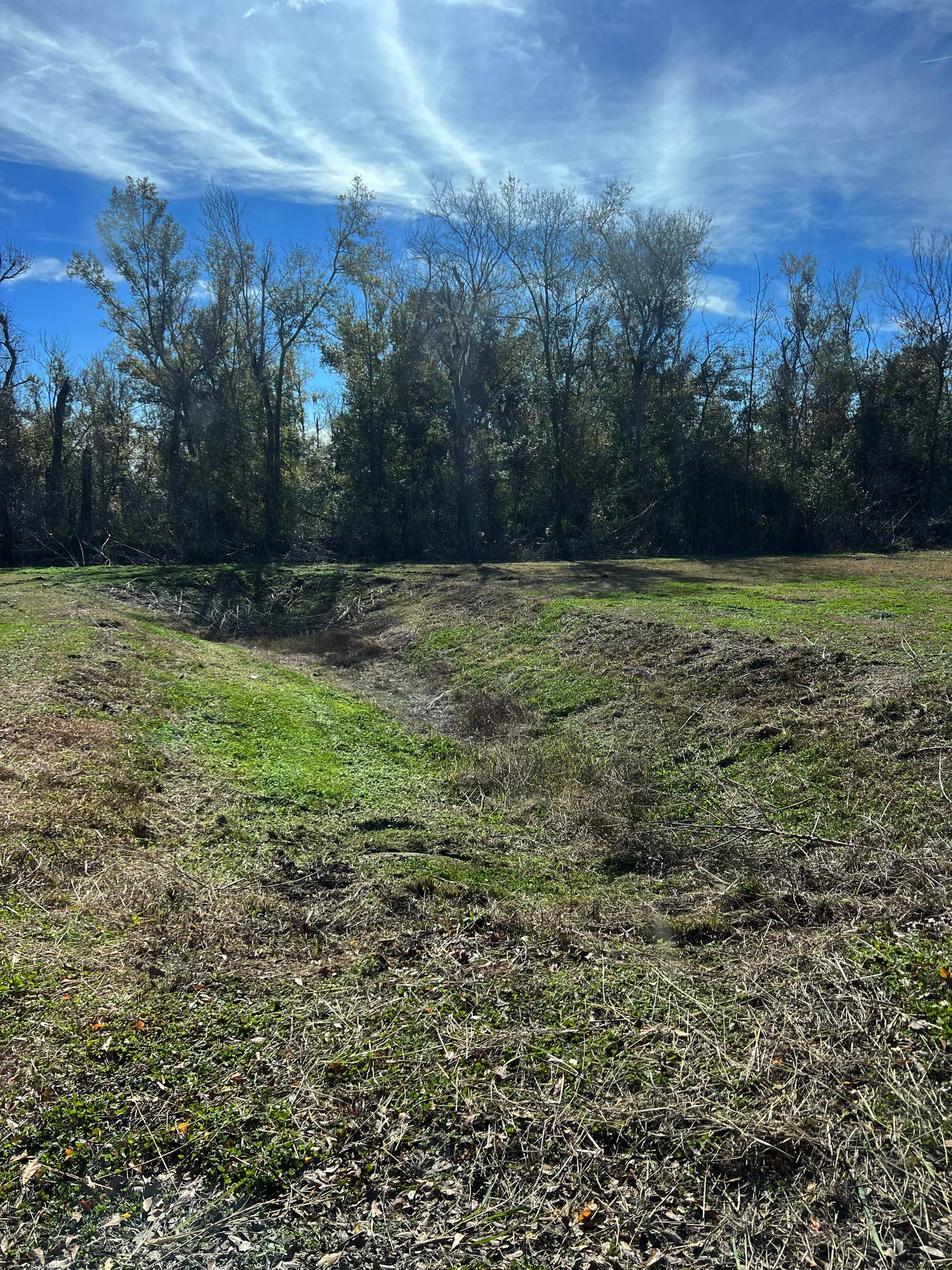 Pond management by CX3 — photo 8