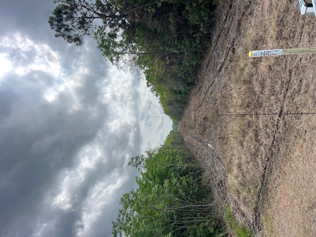 Pipeline right-of-way corridor cleared by CX3 in South Louisiana