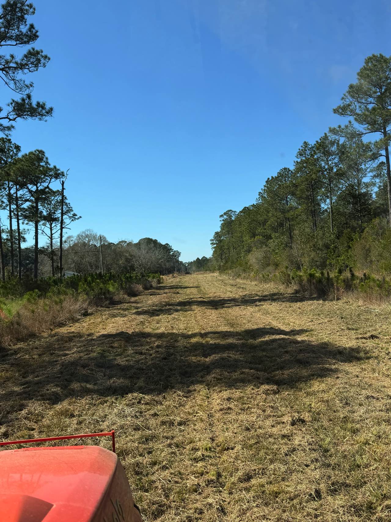 Pipeline right-of-way corridor cleared by CX3