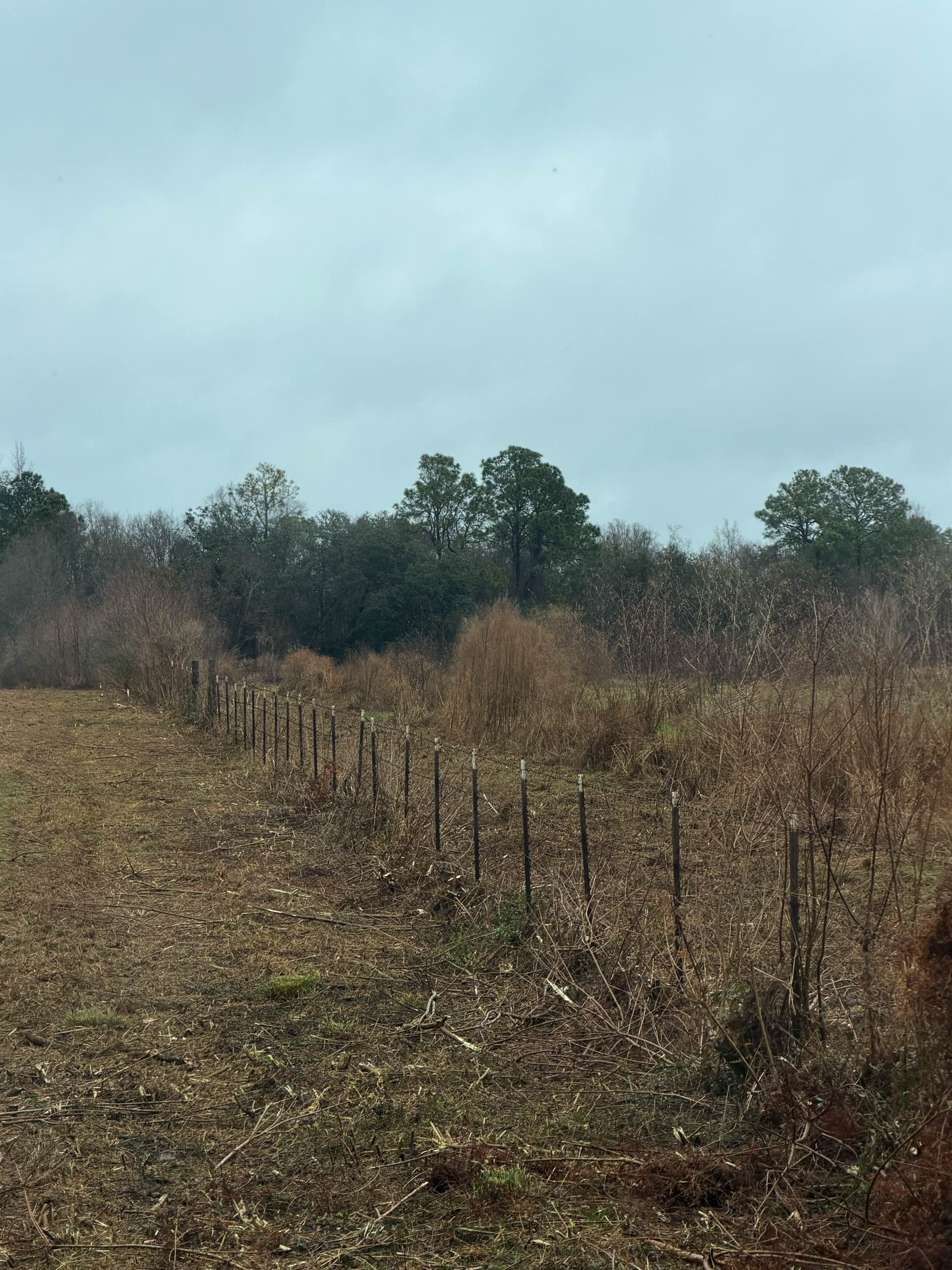 Right-of-way work by CX3 — photo 10