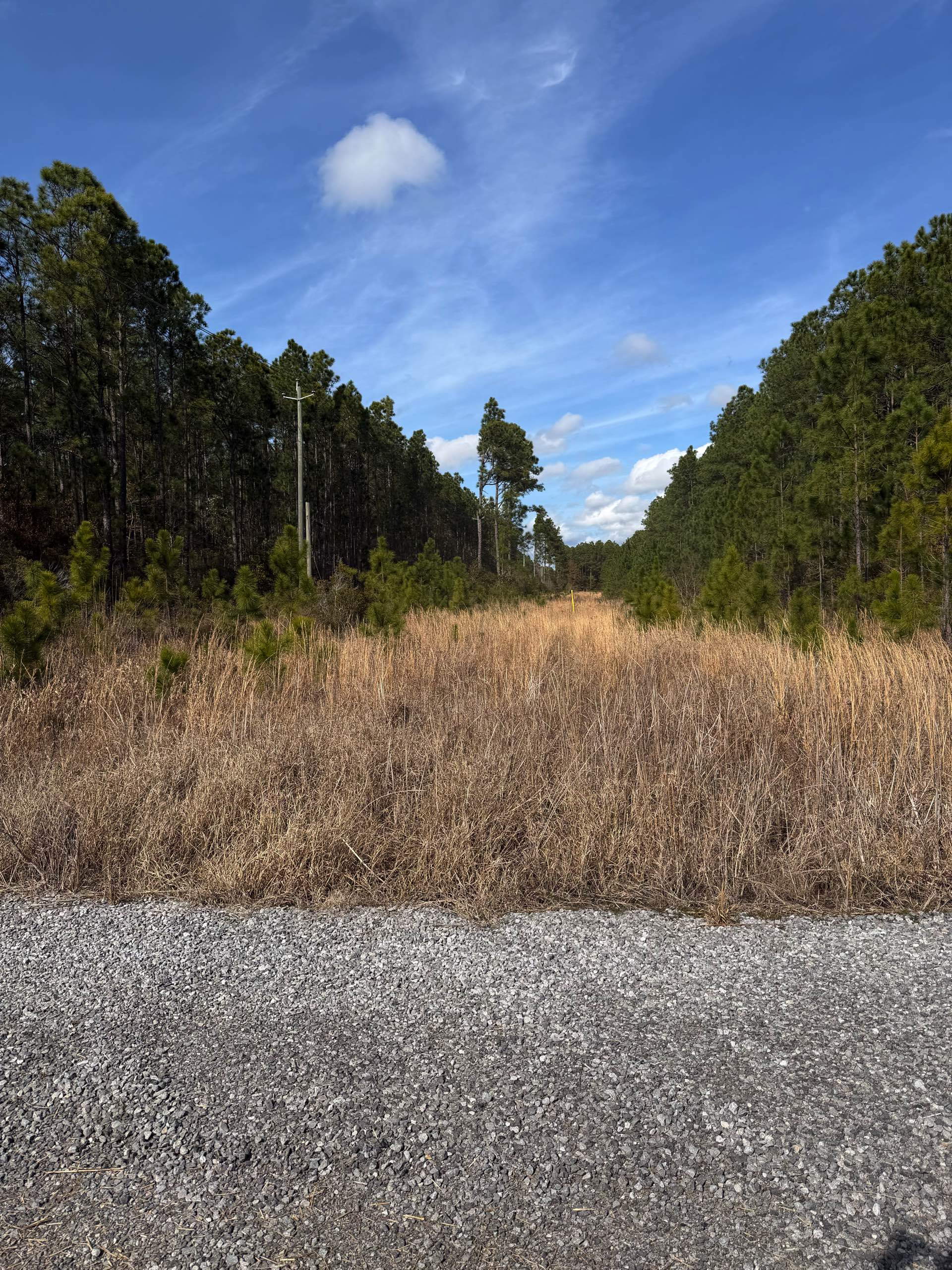 Right-of-way work by CX3 — photo 12