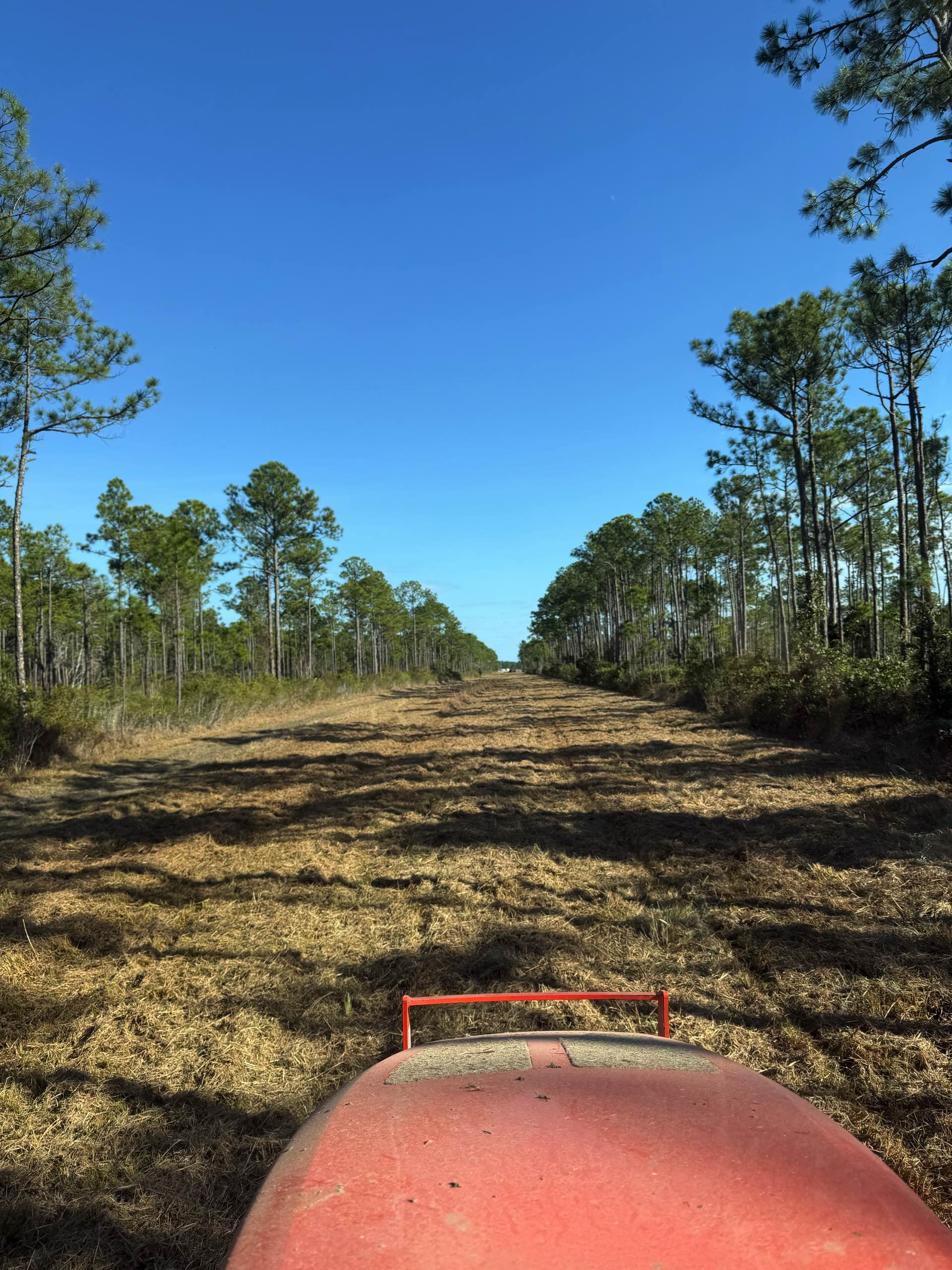 Right-of-way work by CX3 — photo 13