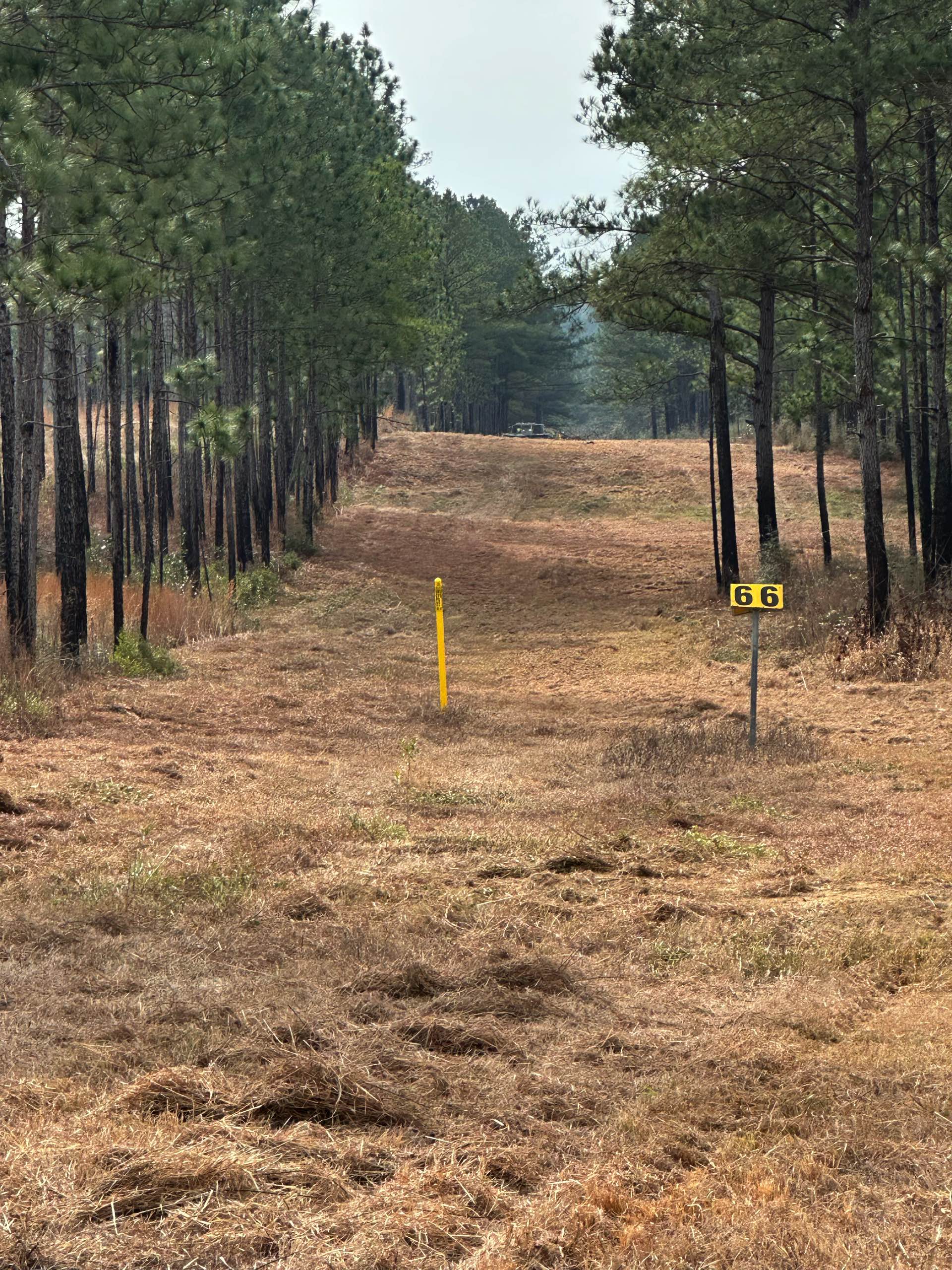 Right-of-way work by CX3 — photo 14