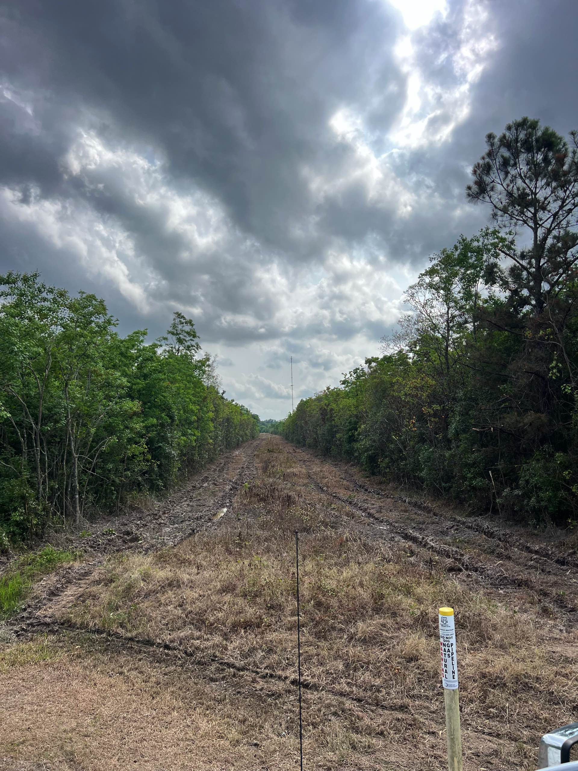 Right-of-way work by CX3 — photo 3