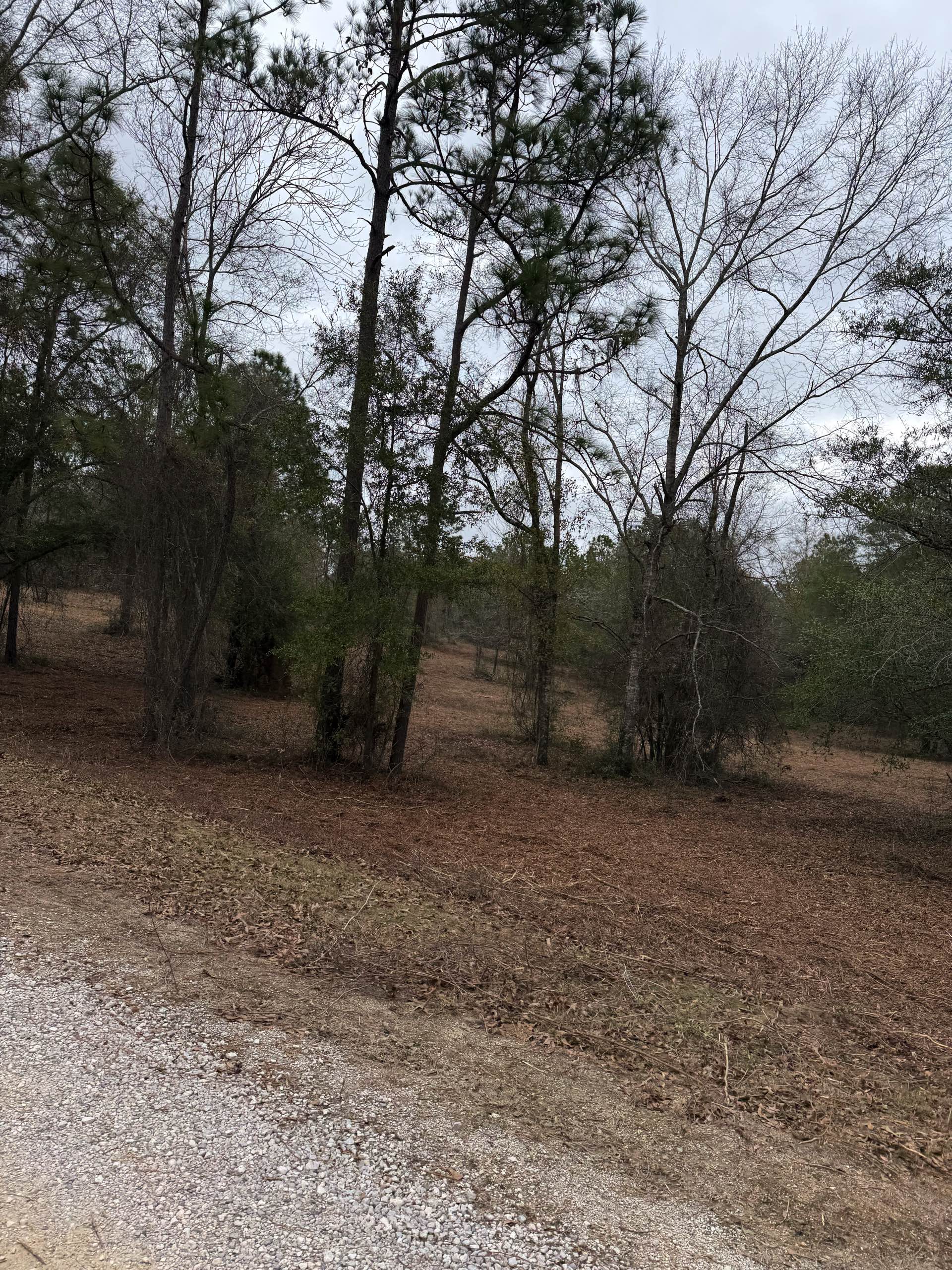 Right-of-way work by CX3 — photo 8