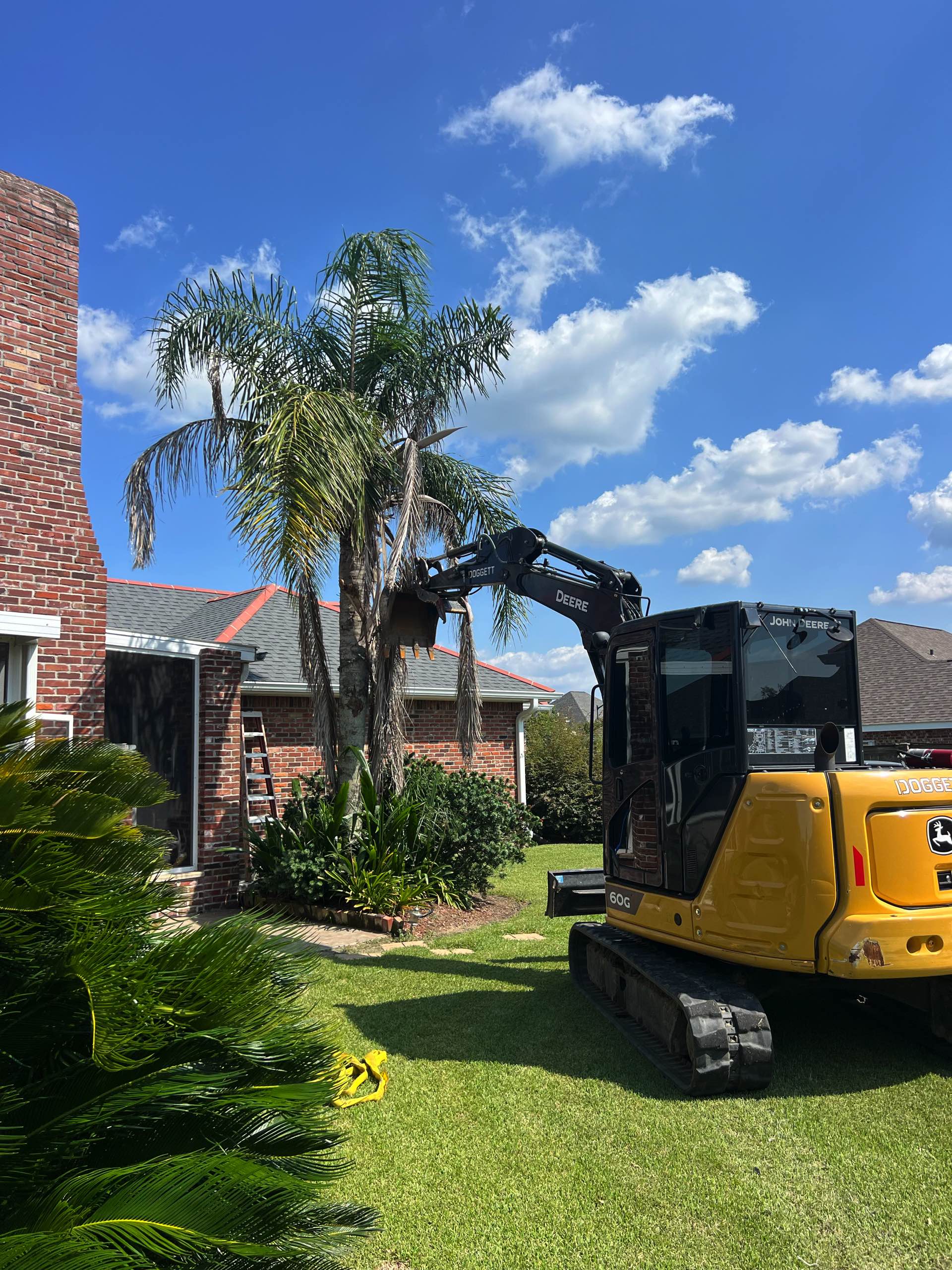 Tree removal by CX3 — photo 2