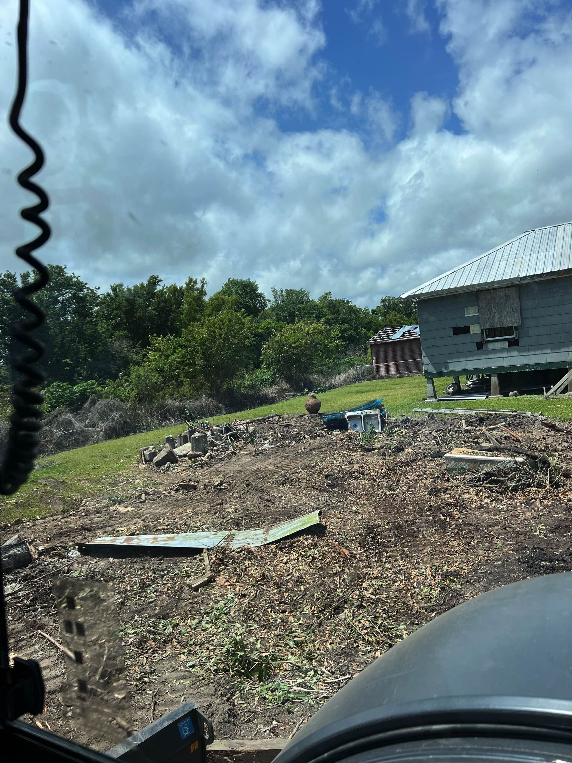 Tree removal by CX3 — photo 9
