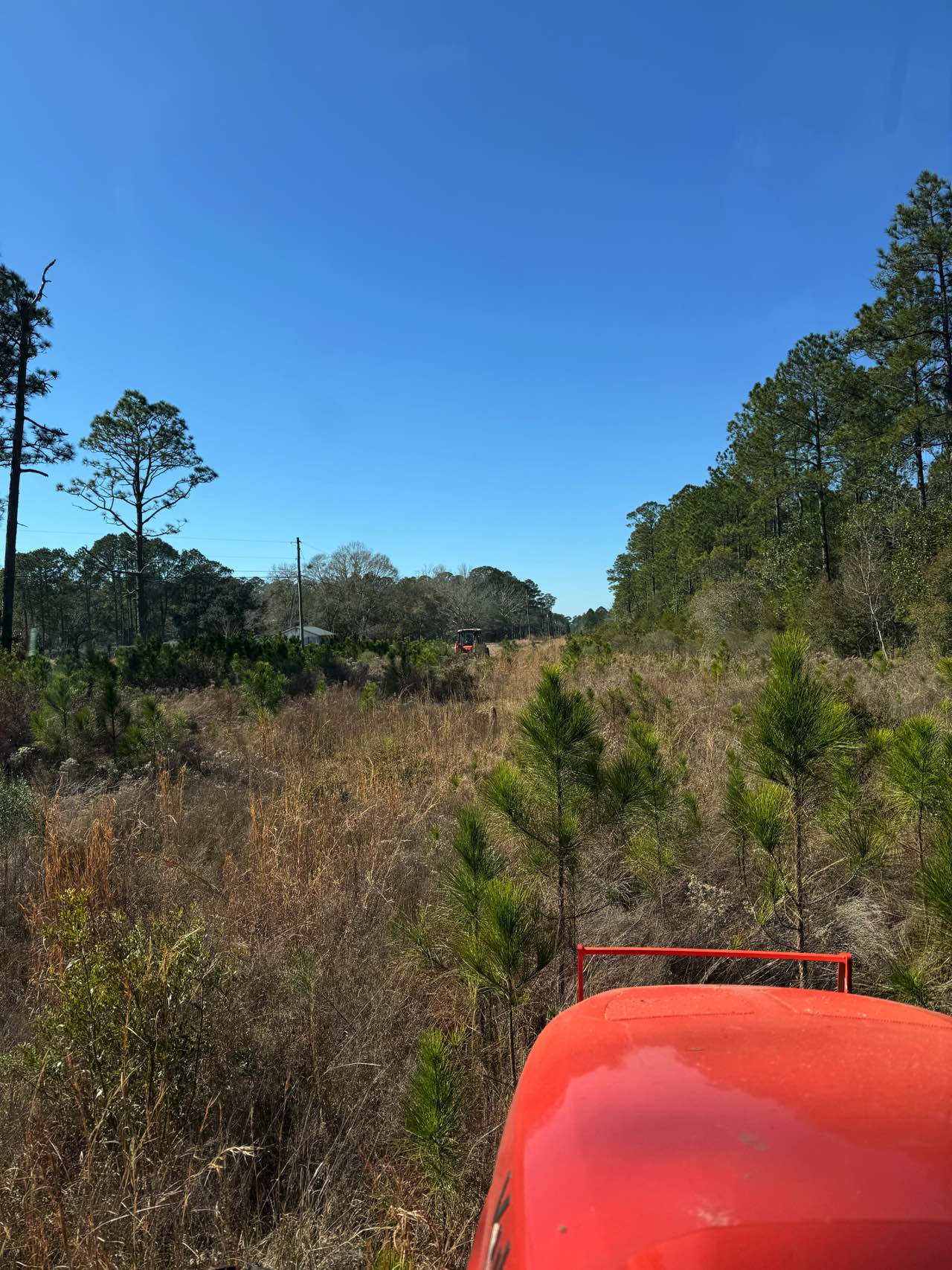 Tree trimming by CX3