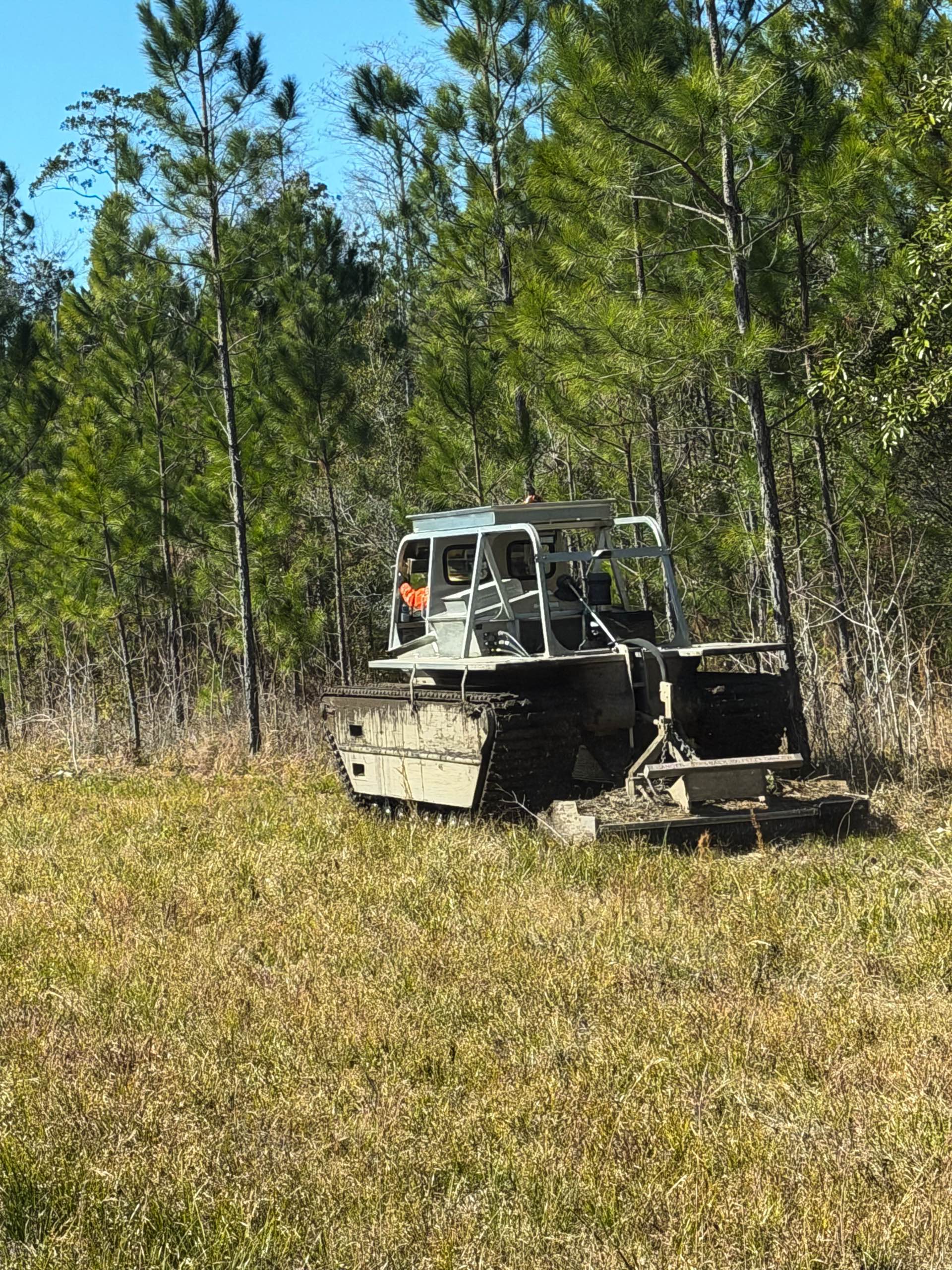 Tree trimming by CX3 — photo 5